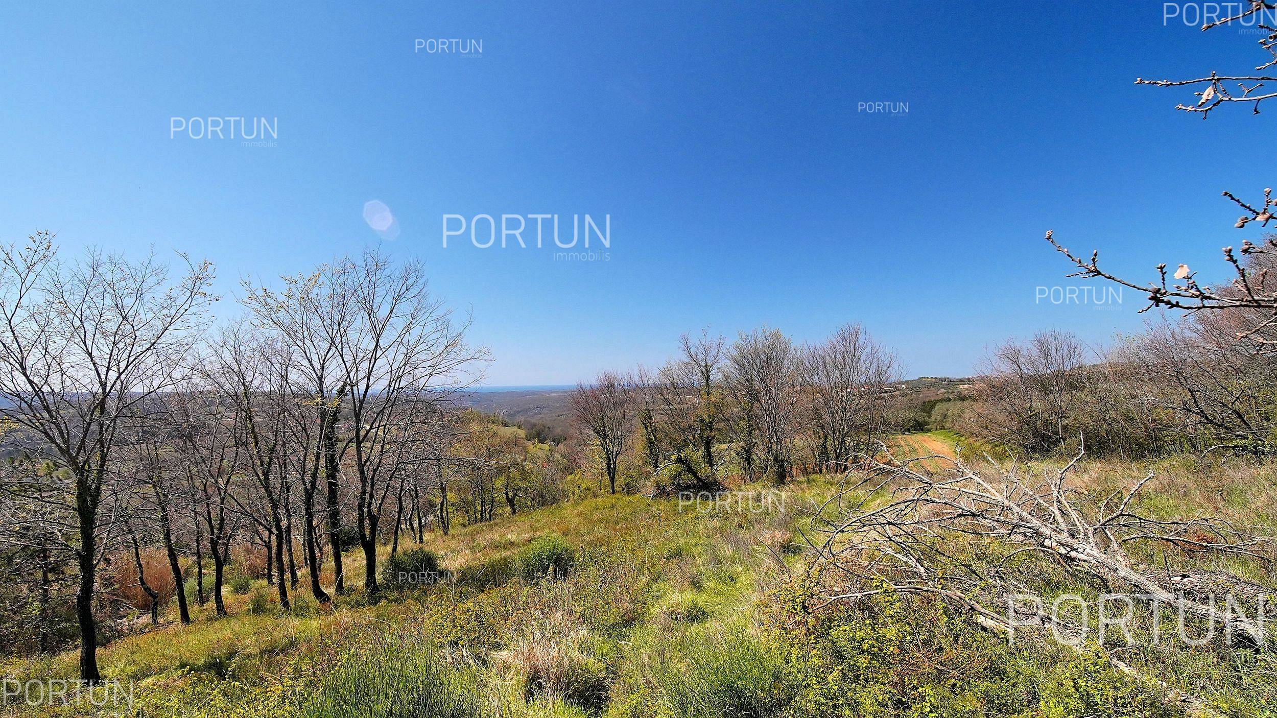 Zemljište na prodaju Grožnjan - 40441 - 06
