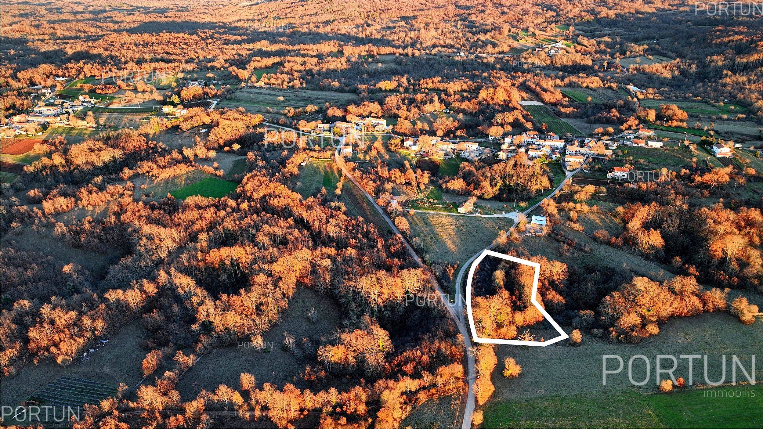 Zemljište na prodaju Žminj - 40535 - 01