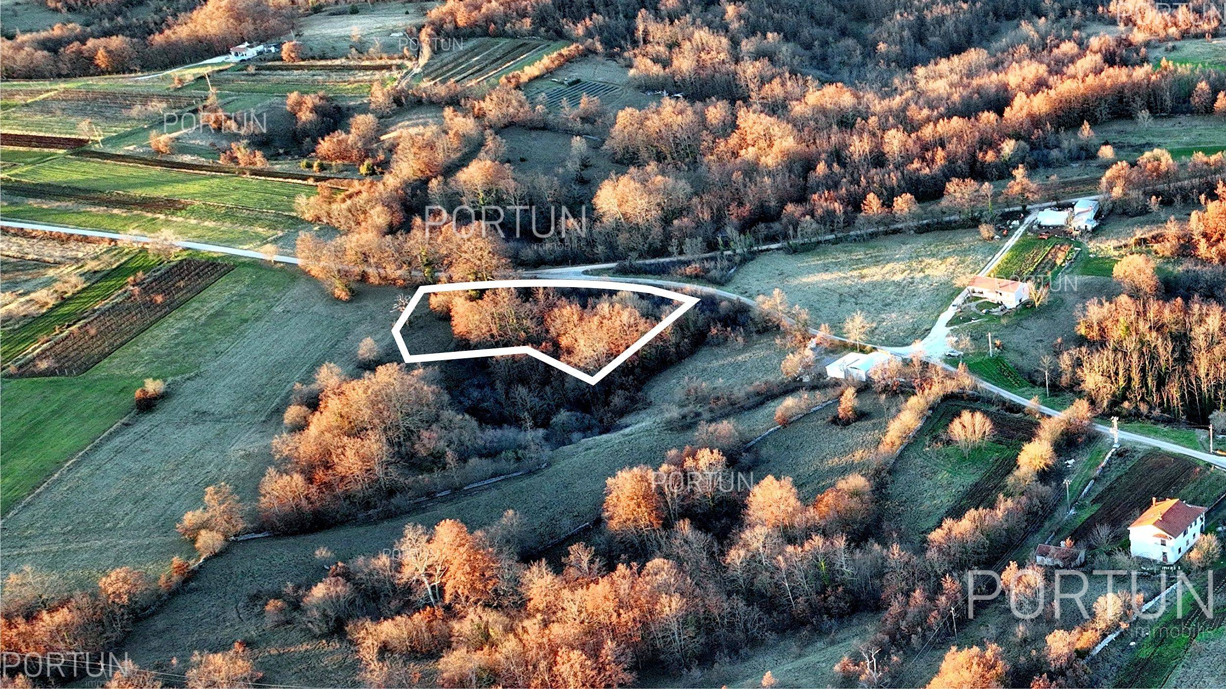 Zemljište na prodaju Žminj - 40535 - 04