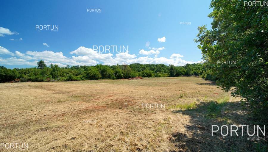 nekretnina_40540