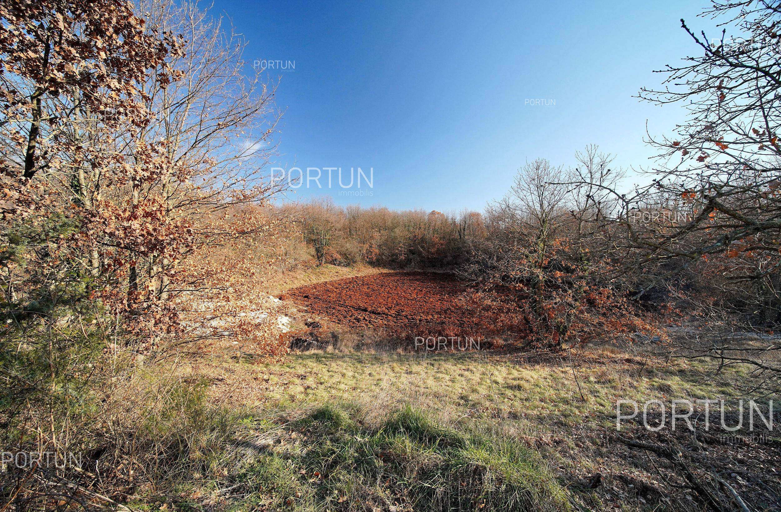 Zemljište na prodaju Svetvinčenat - 40548 - 13