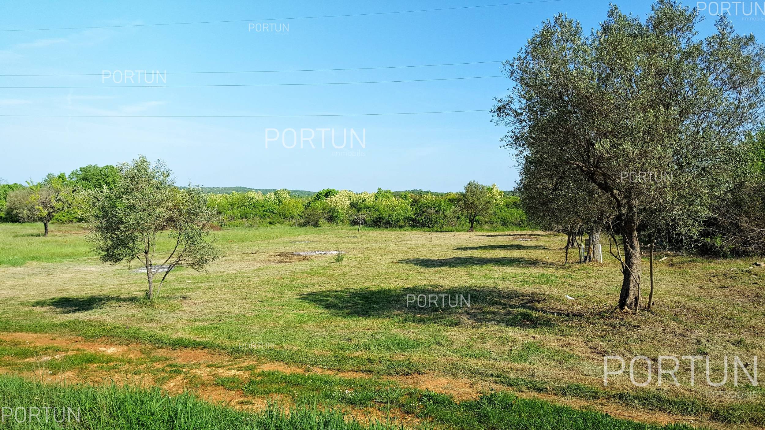 Zemljište na prodaju Rovinj - 40551 - 01