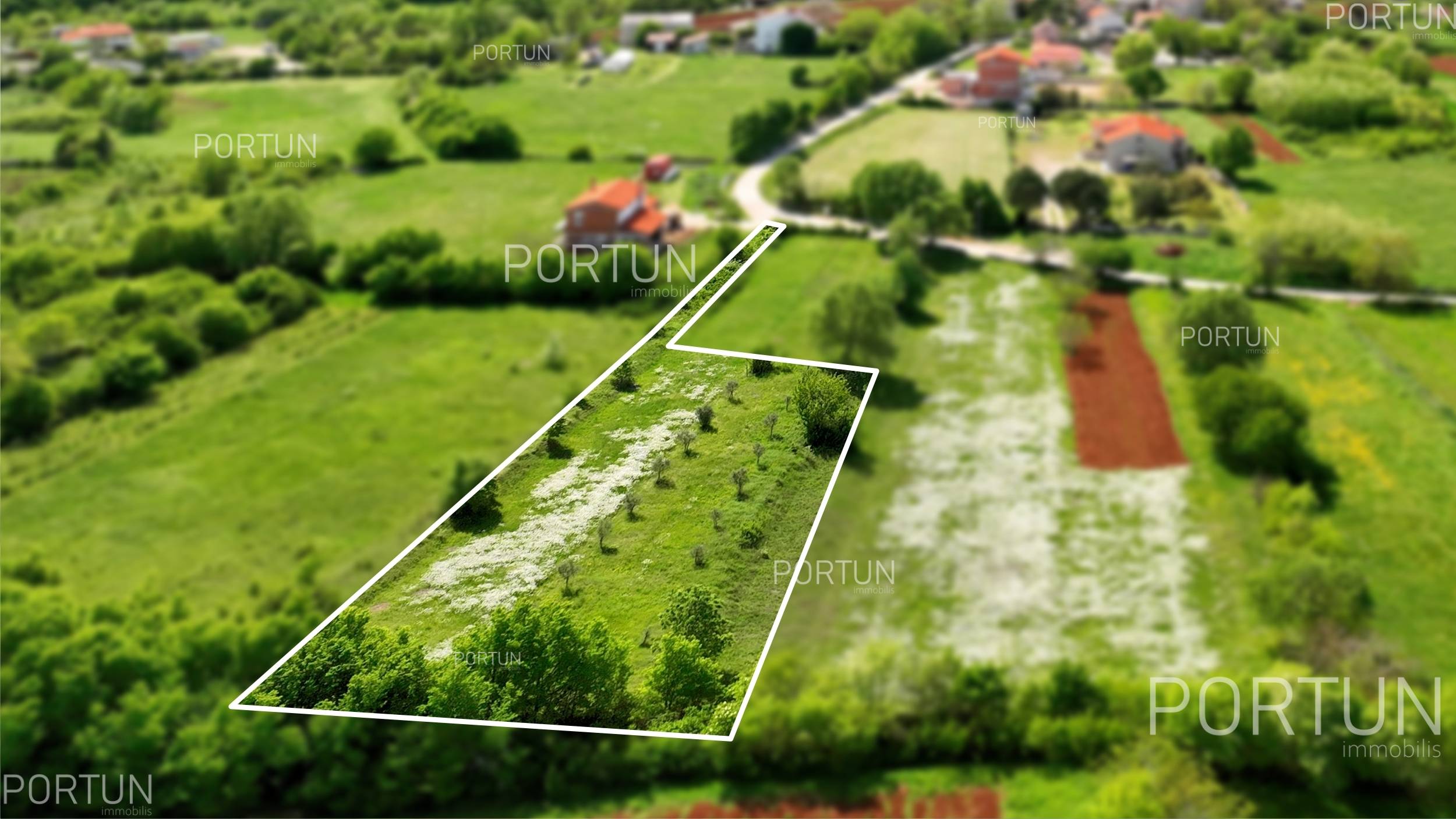 Land for sale in Istria z729  07
