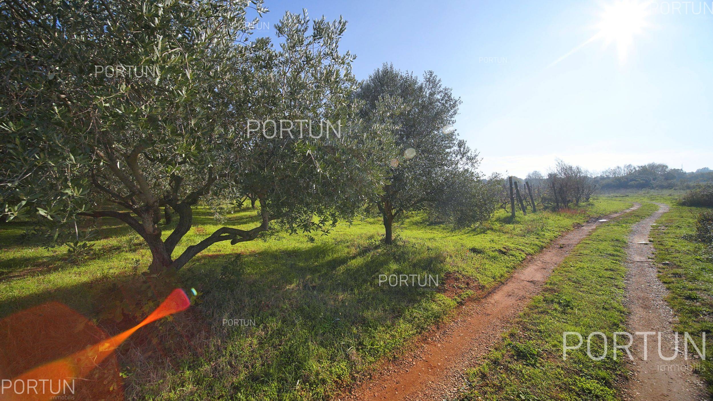 Zemljište na prodaju Rovinj - 40556 - 12