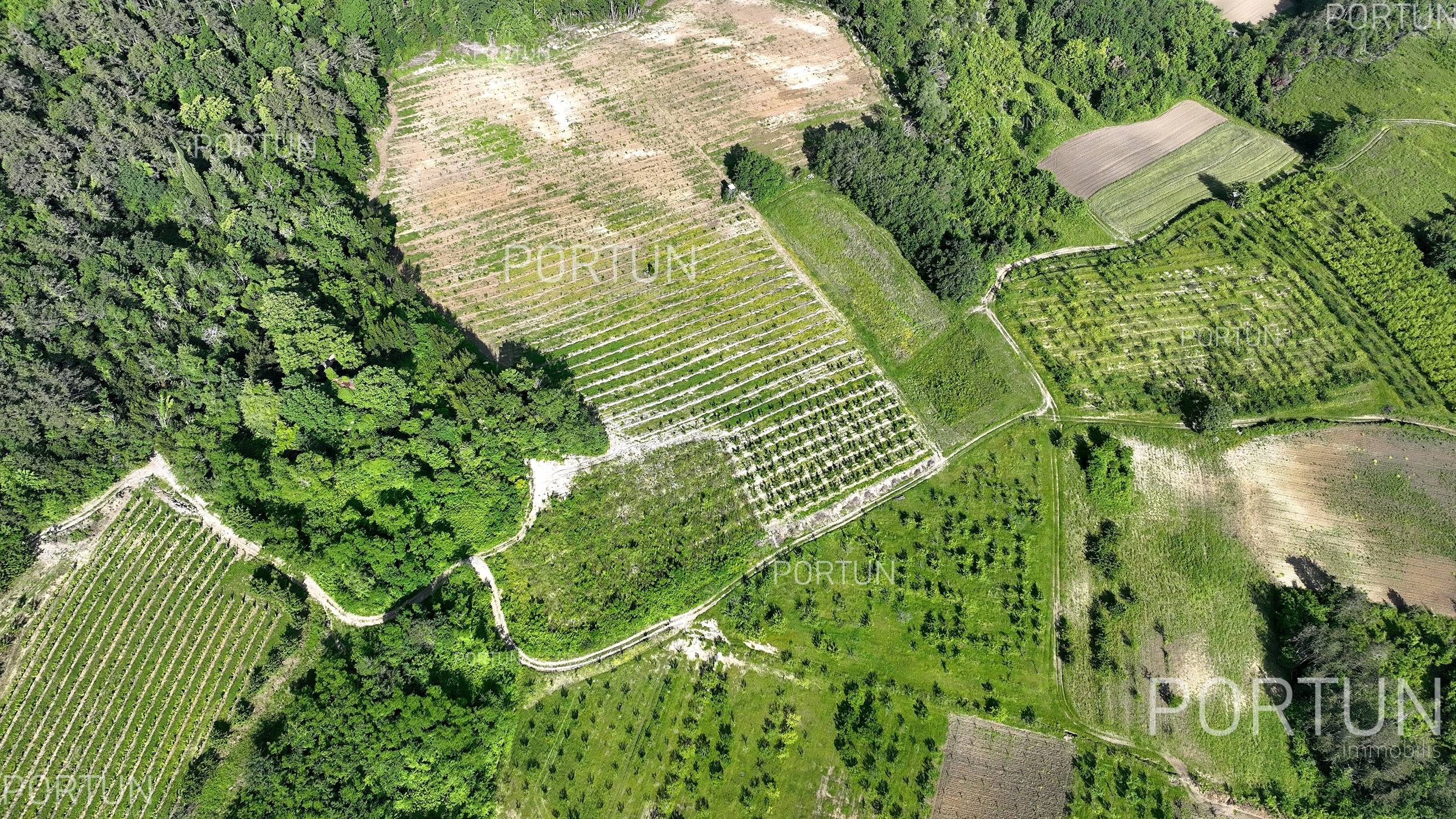 Zemljište na prodaju Motovun - 40562 - 02