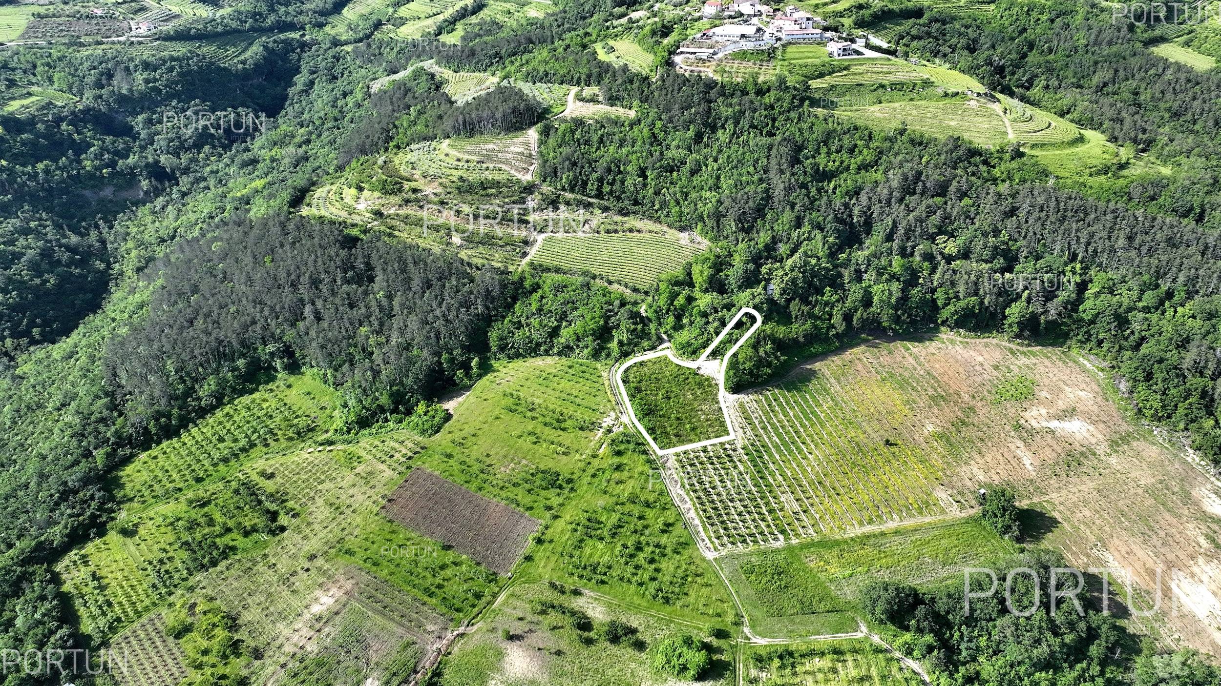 Zemljište na prodaju Motovun - 40562 - 03