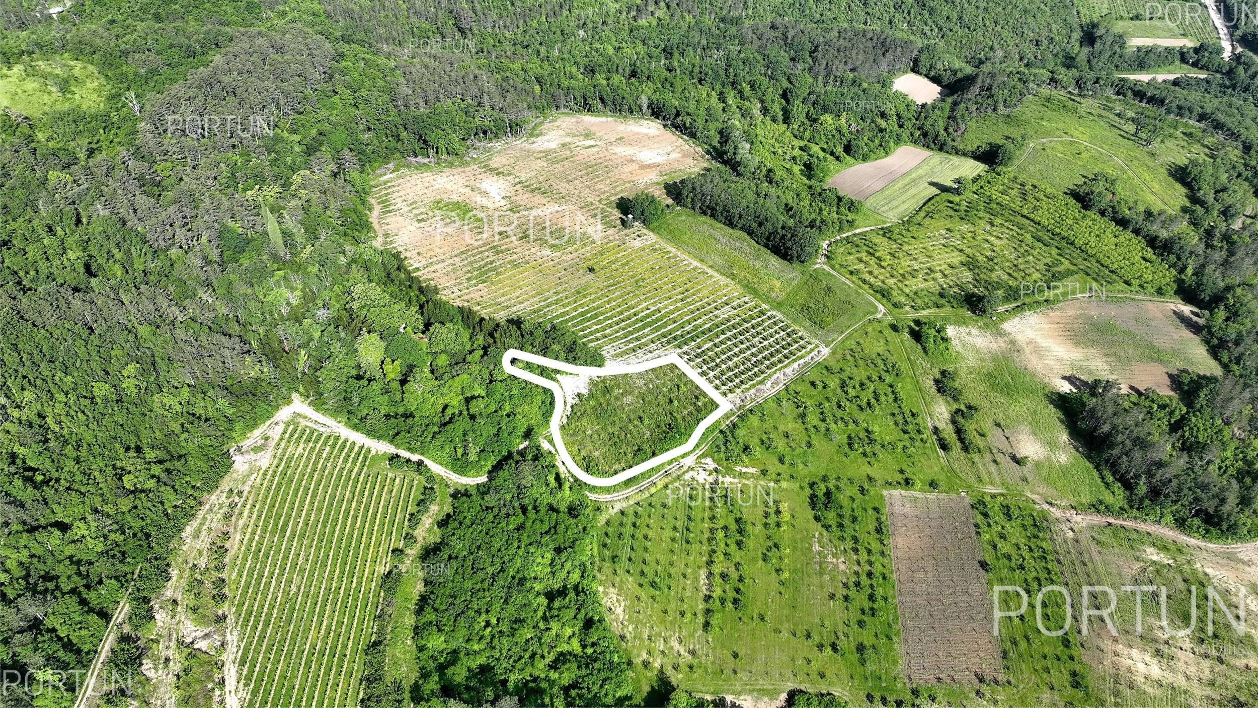 Zemljište na prodaju Motovun - 40562 - 04