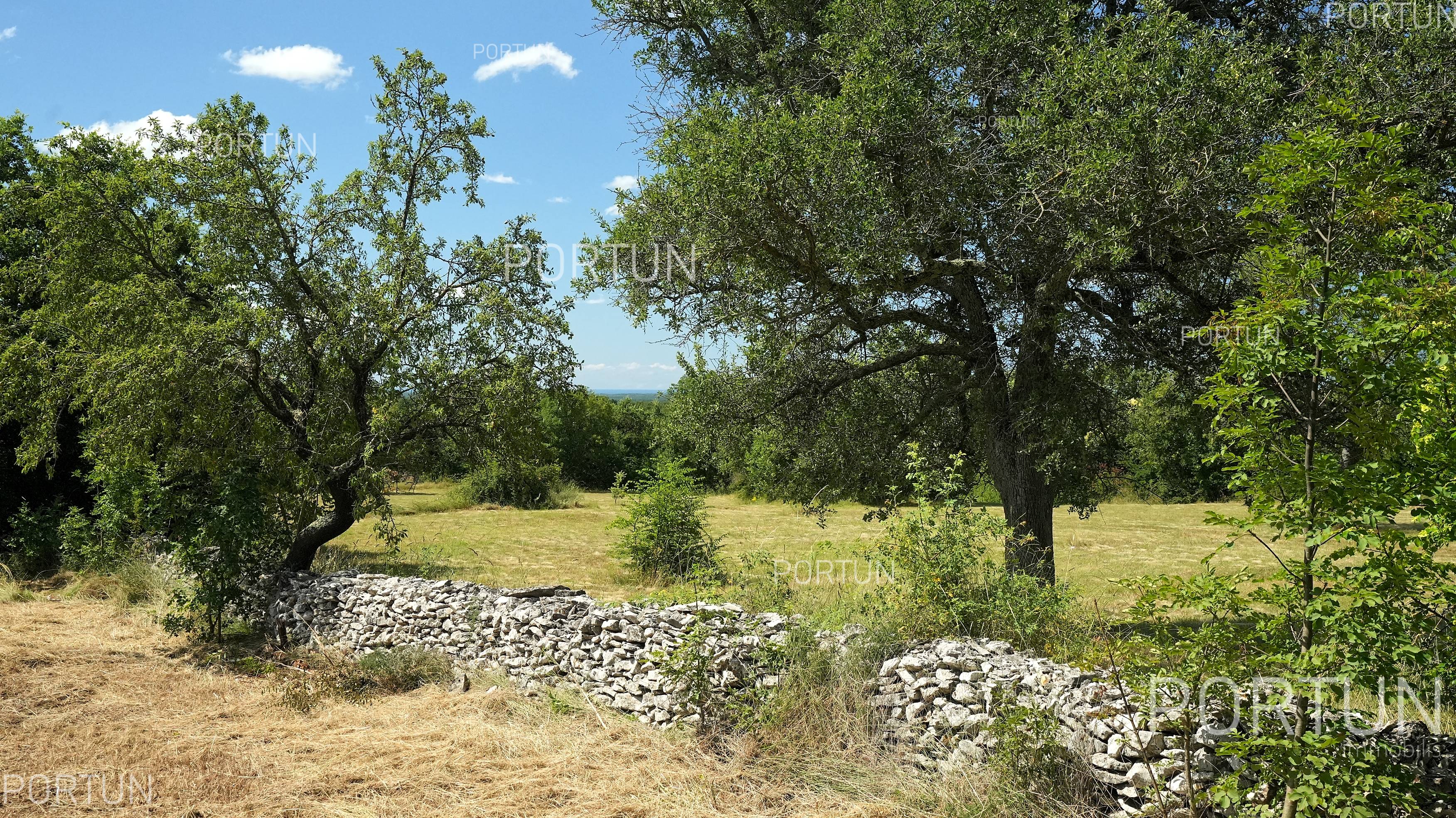 Zemljište na prodaju Kanfanar - 40566 - 08