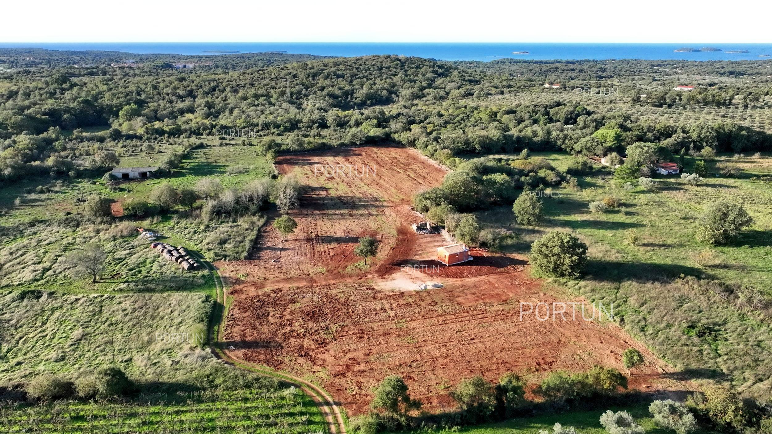 Big agricultural land with a house 01a