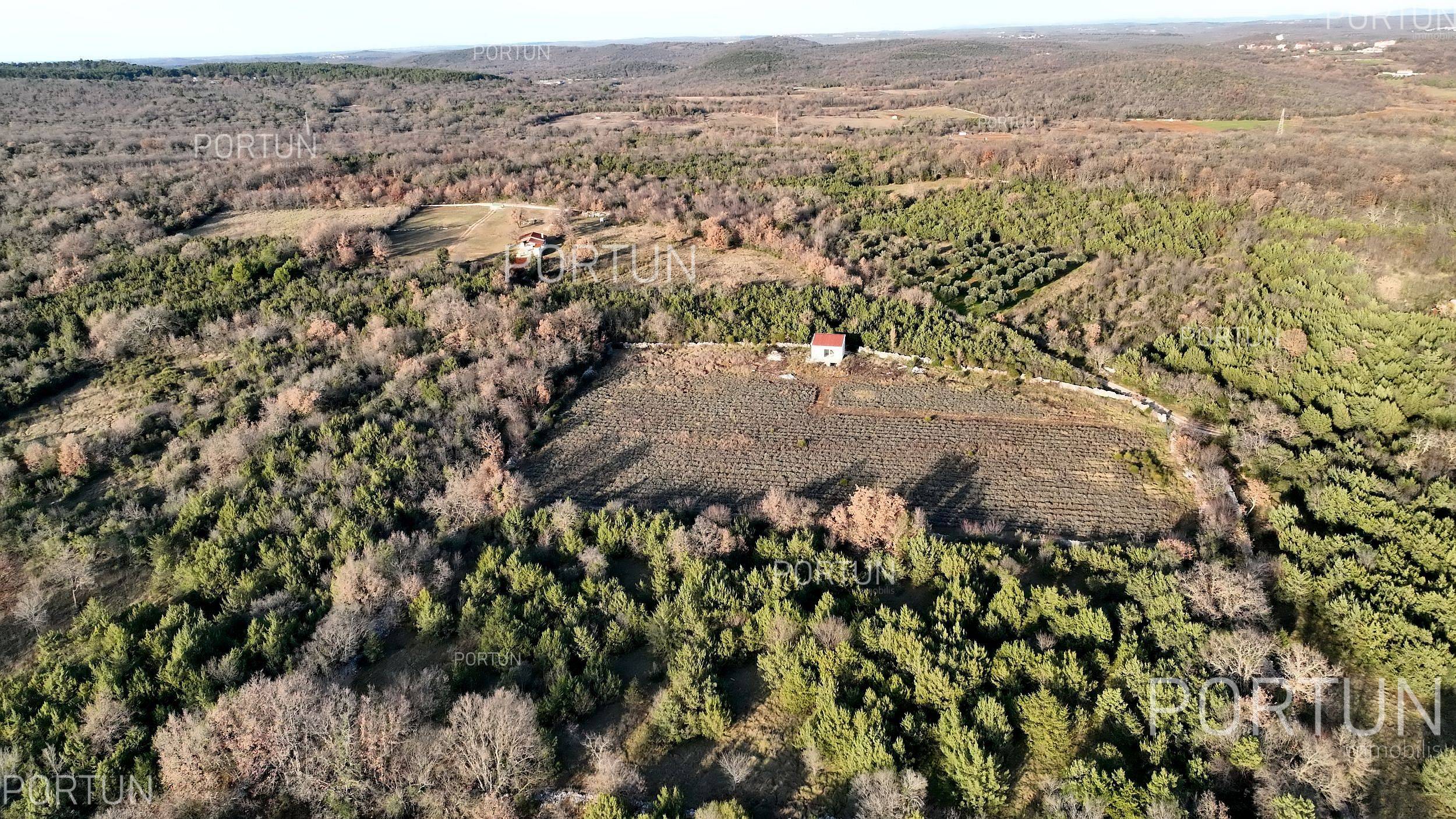 For lovers of nature, agriculture near the sea, Rovinj and Istria - 40593 001