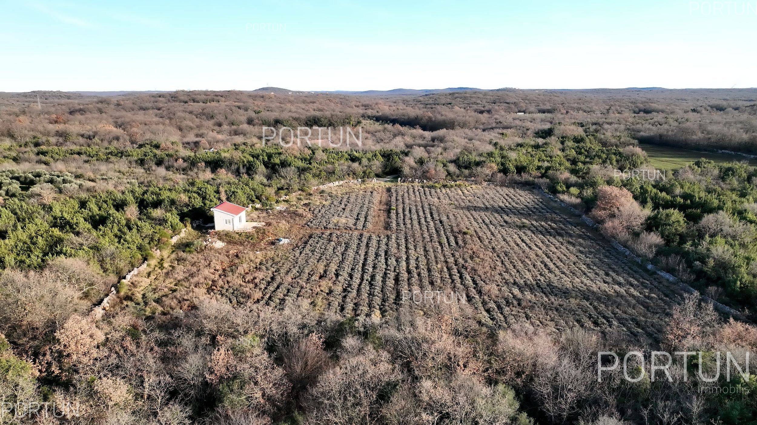 Zemljište na prodaju Rovinj - 40593 - 06