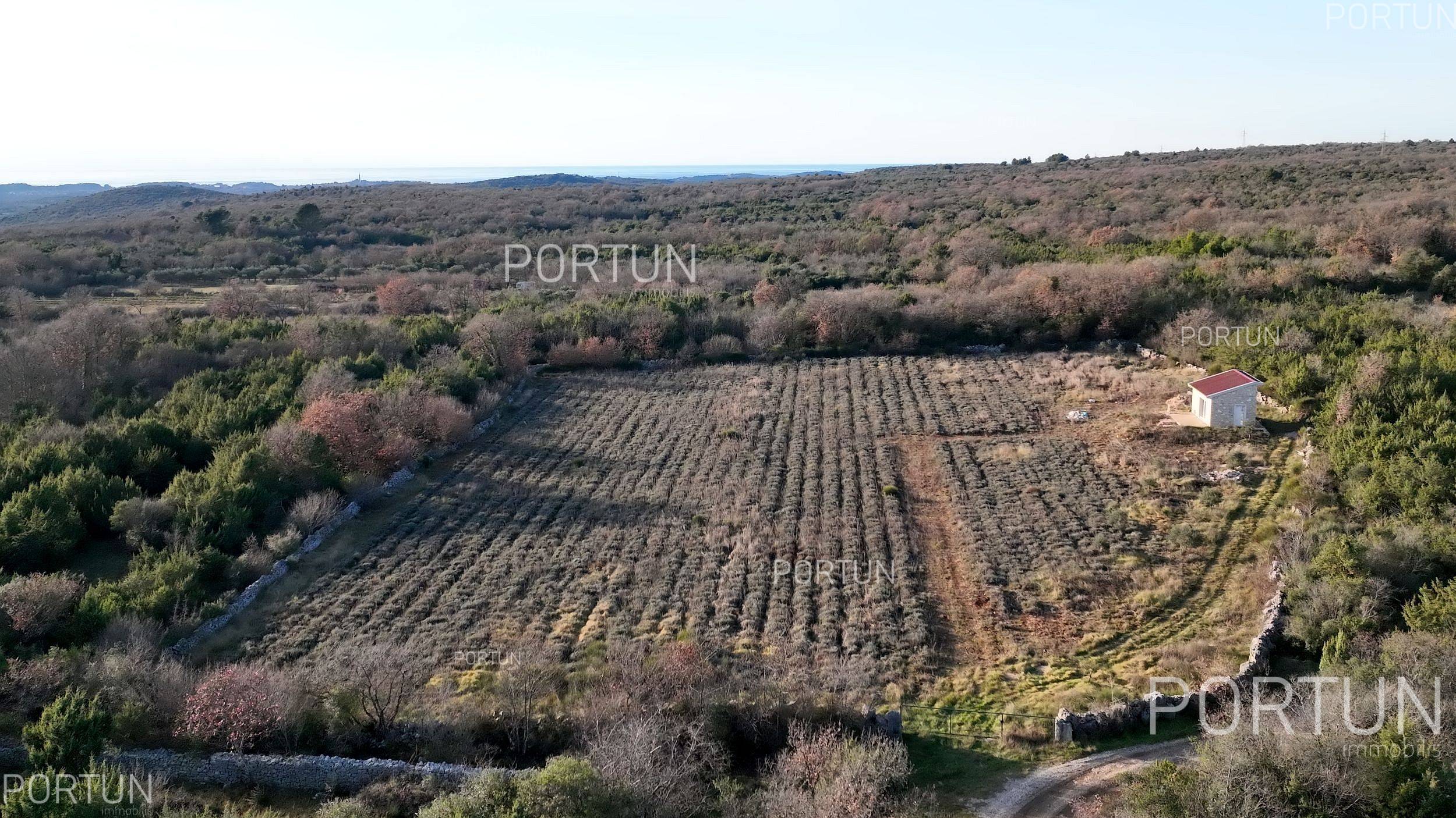 Zemljište na prodaju Rovinj - 40593 - 10