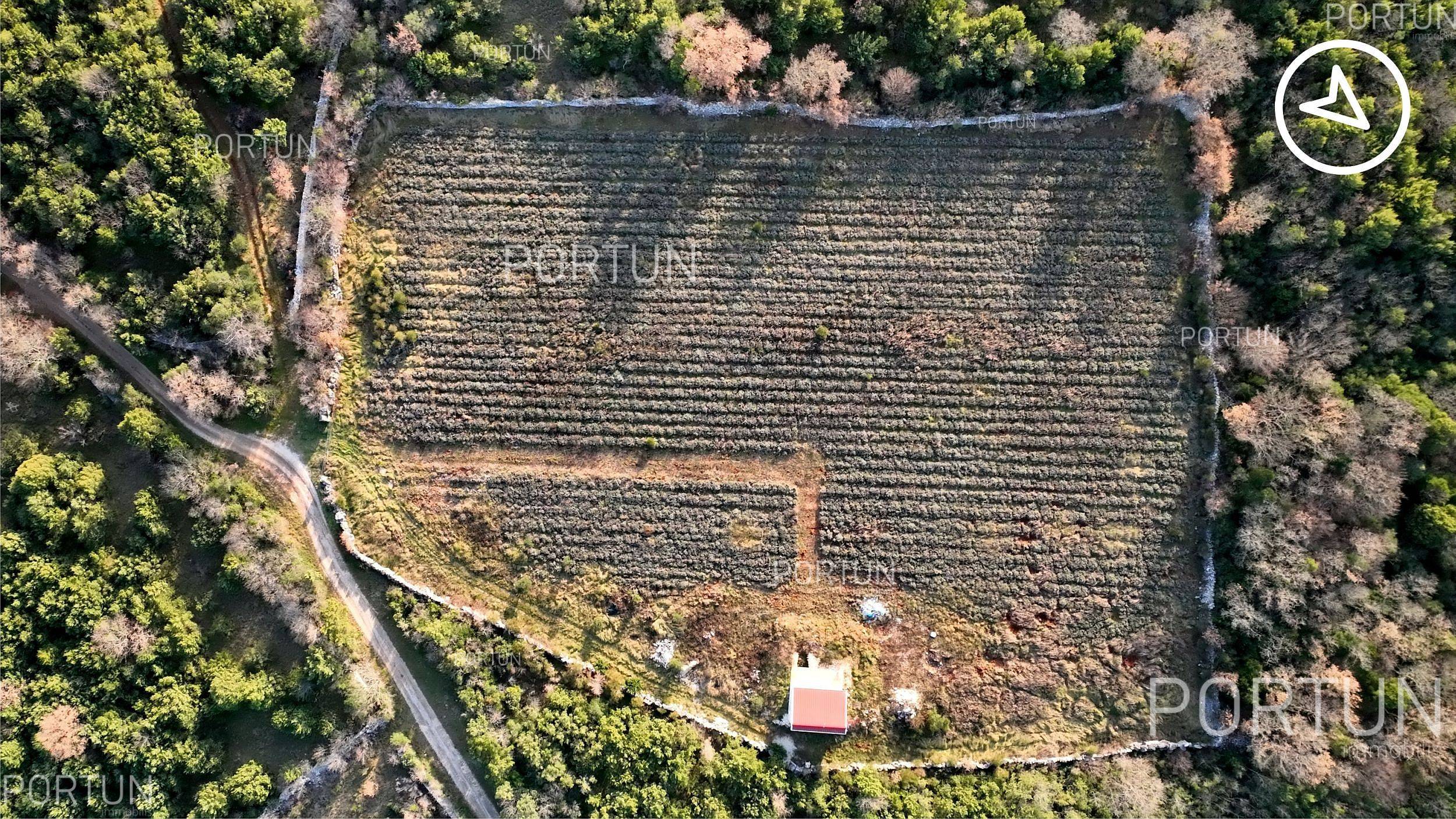 Zemljište na prodaju Rovinj - 40593 - 13