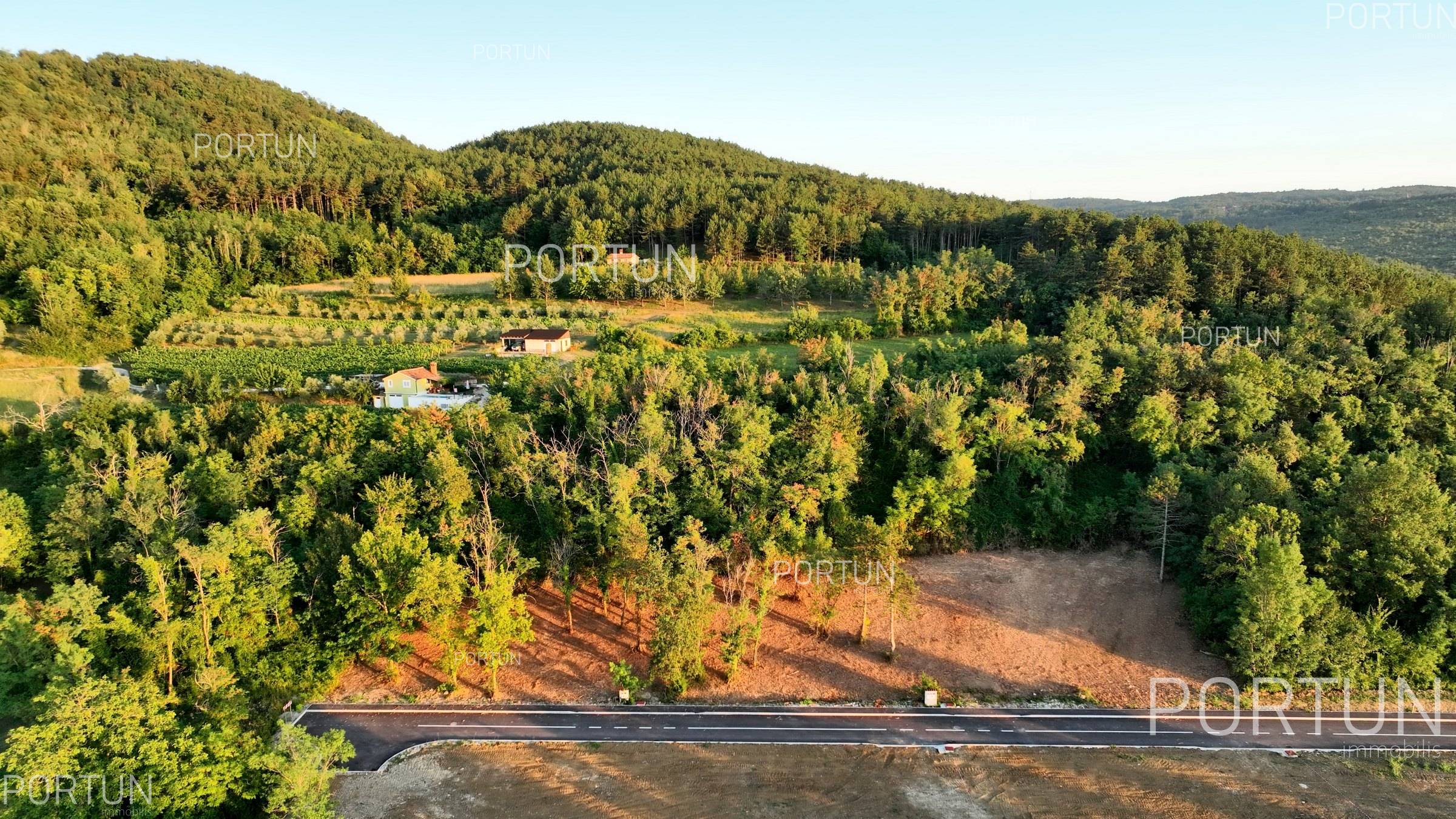 Motovun Land for Sale 0780 05