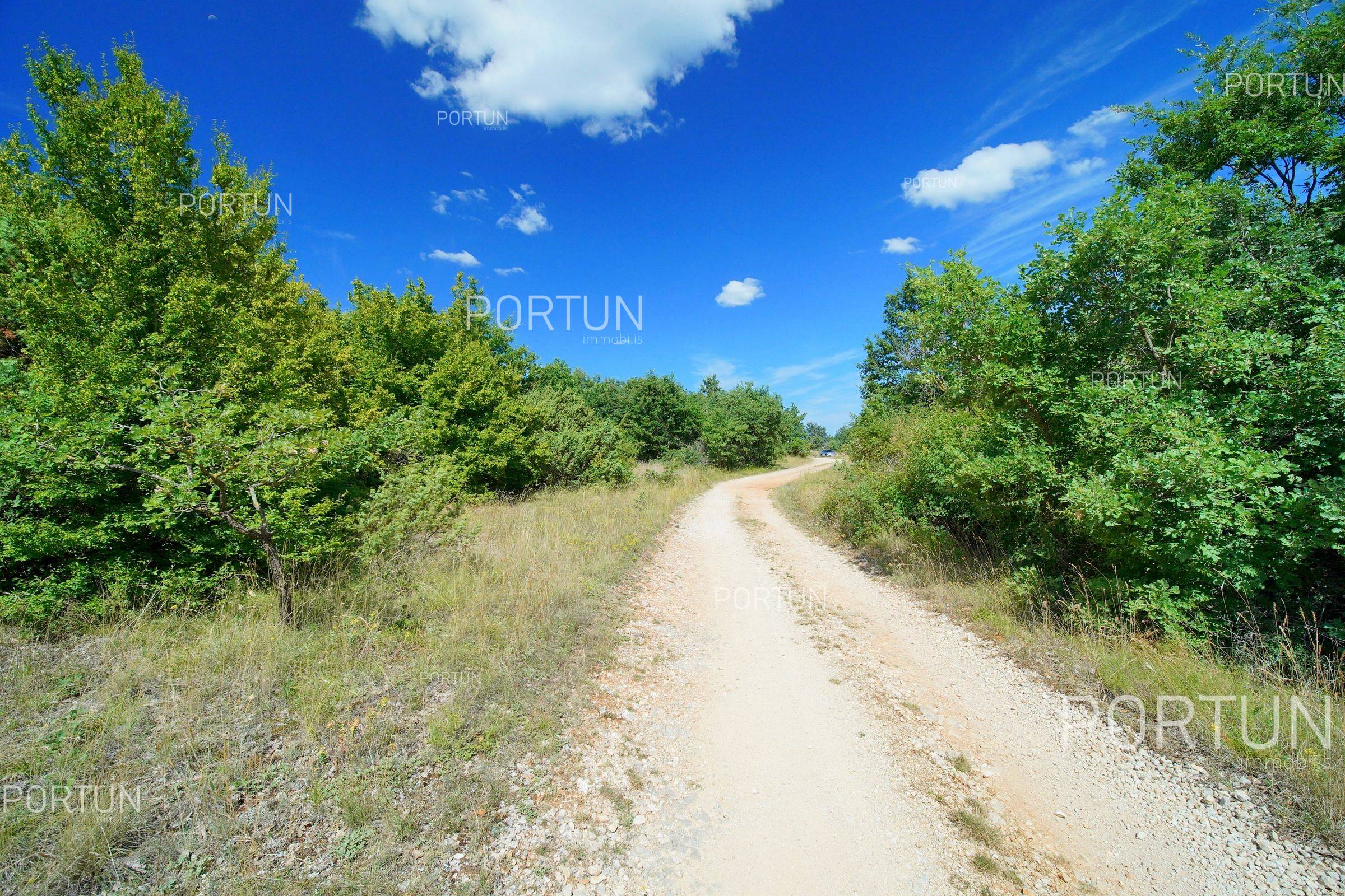 Land in the central Istria Z 0785 01