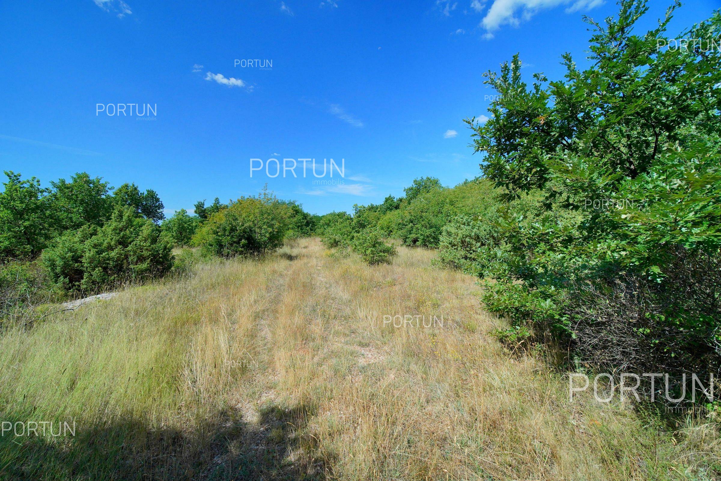 Zemljište na prodaju Svetvinčenat - 40641 - 01