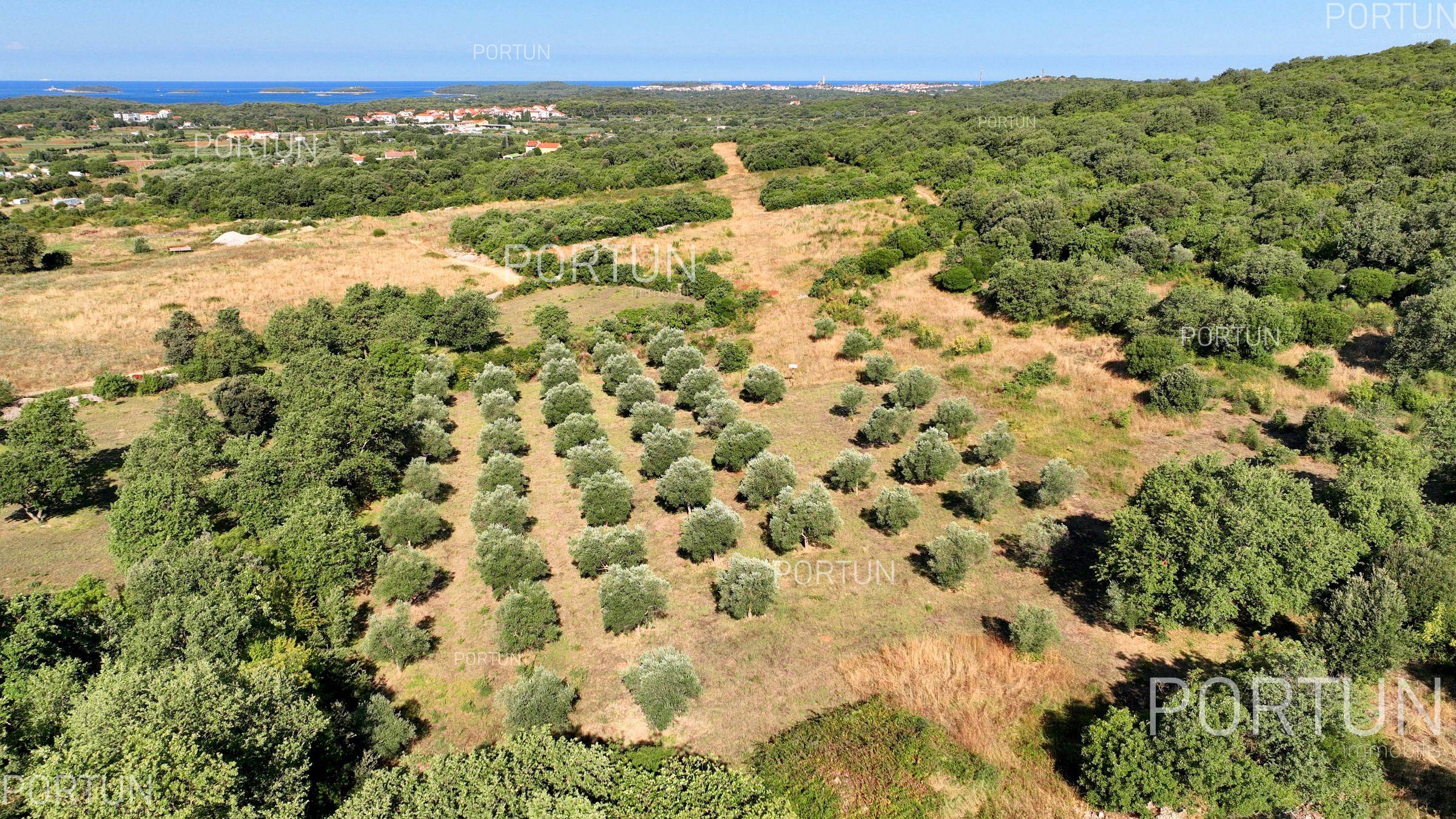 Zemljište na prodaju Rovinj - 40642 - 01