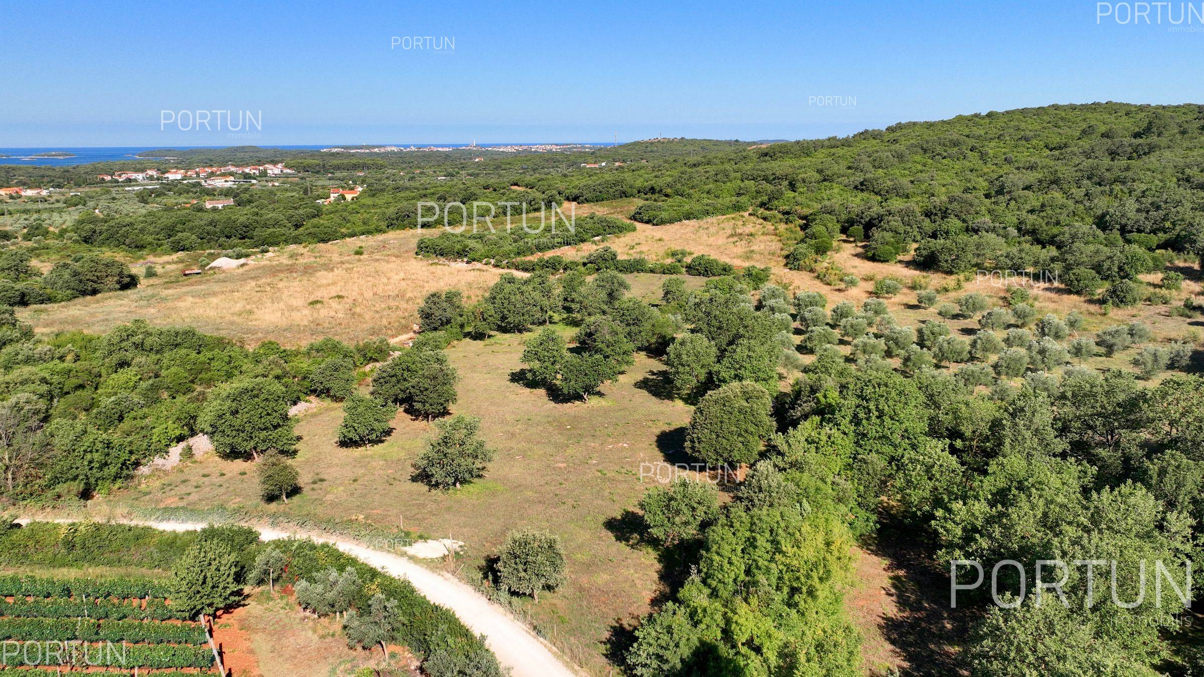 Zemljište na prodaju Rovinj - 40642 - 02