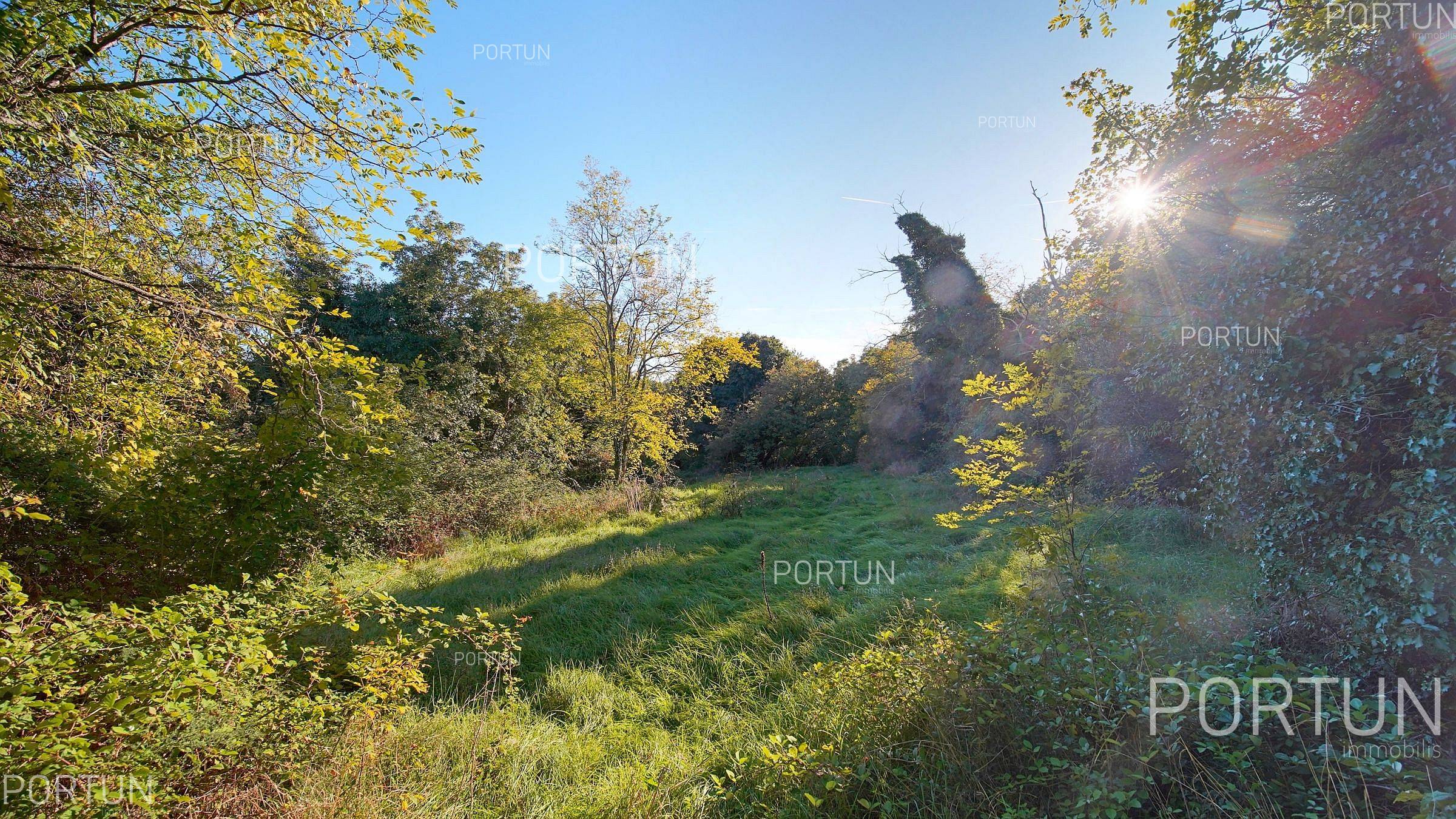 Zemljište na prodaju Sveti Lovreč - 40644 - 11