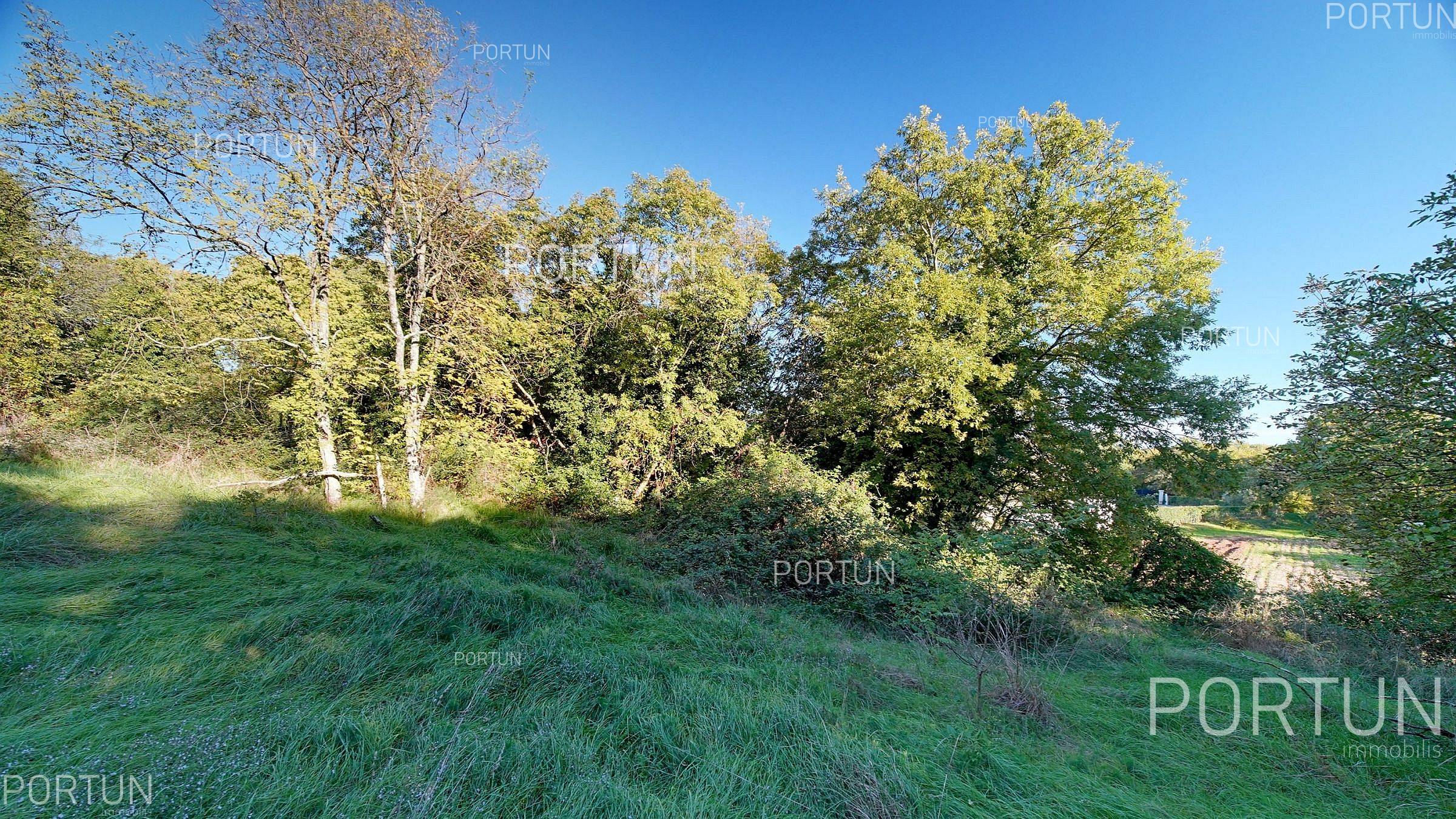 Zemljište na prodaju Sveti Lovreč - 40644 - 12