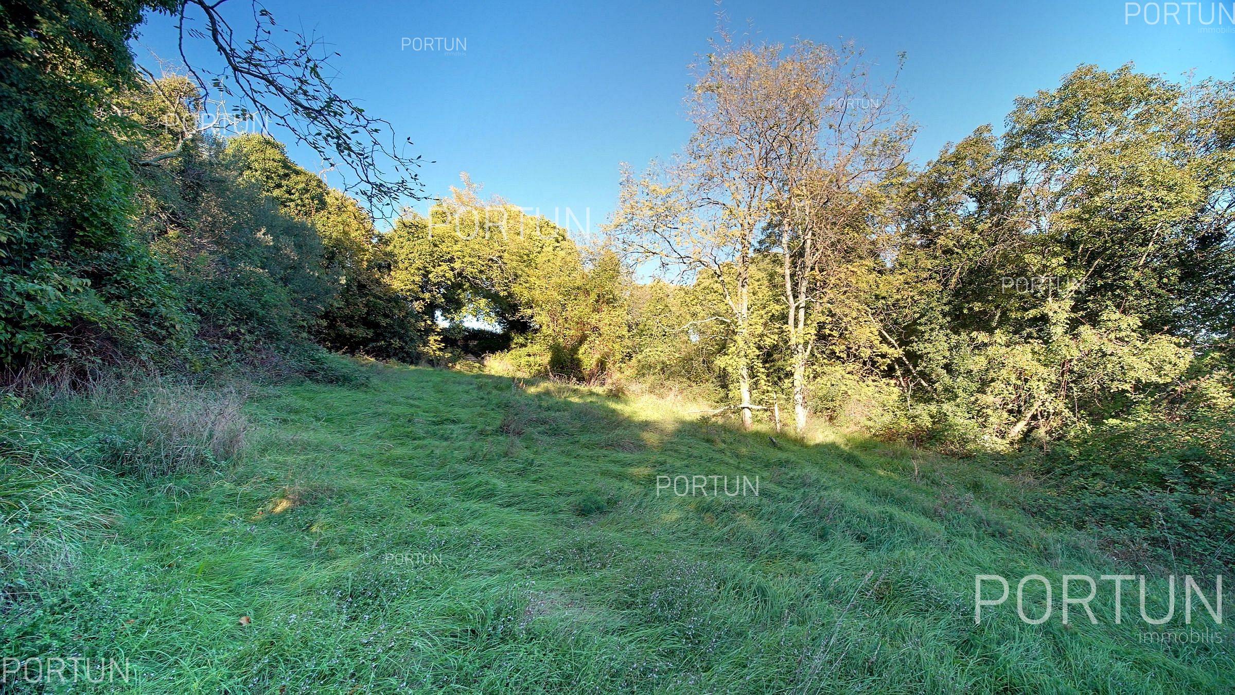Zemljište na prodaju Sveti Lovreč - 40644 - 13