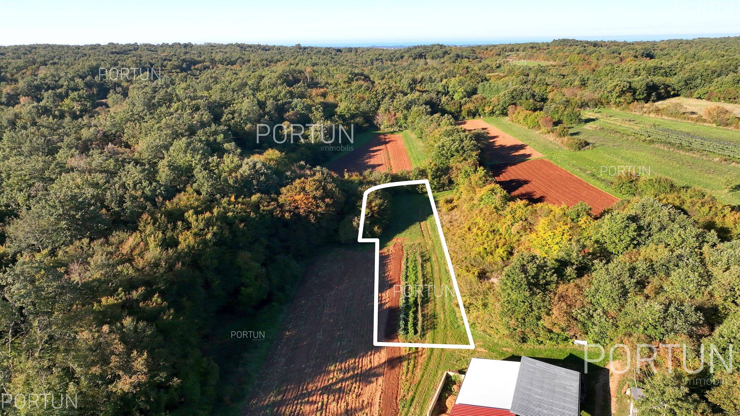 Zemljište na prodaju Sveti Lovreč - 40647 - 02