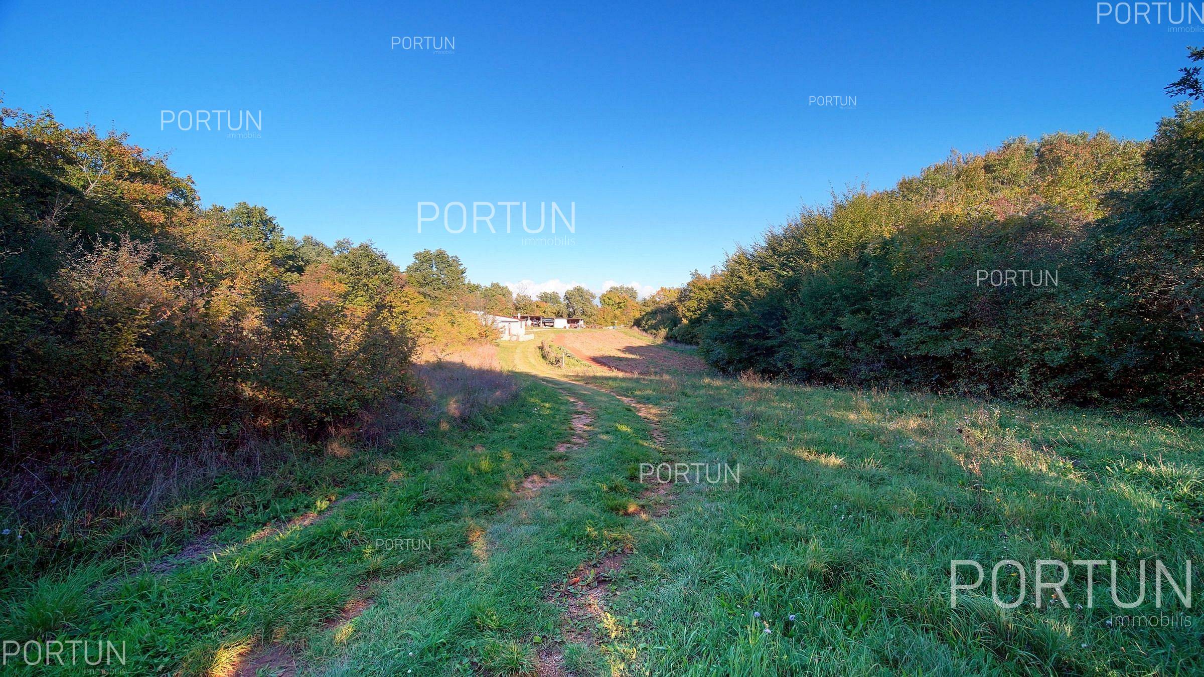 Zemljište na prodaju Sveti Lovreč - 40647 - 06