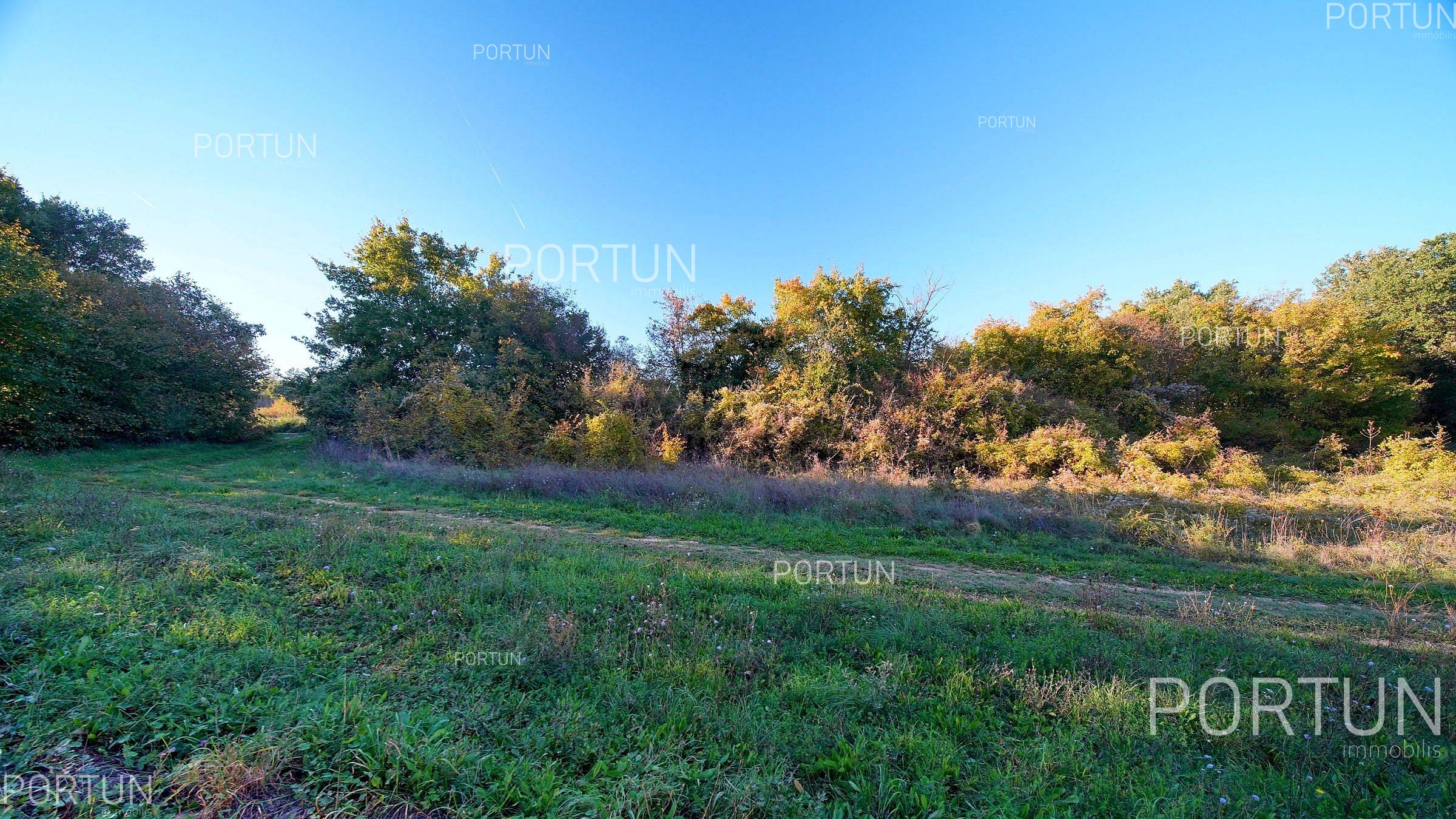 Zemljište na prodaju Sveti Lovreč - 40647 - 07