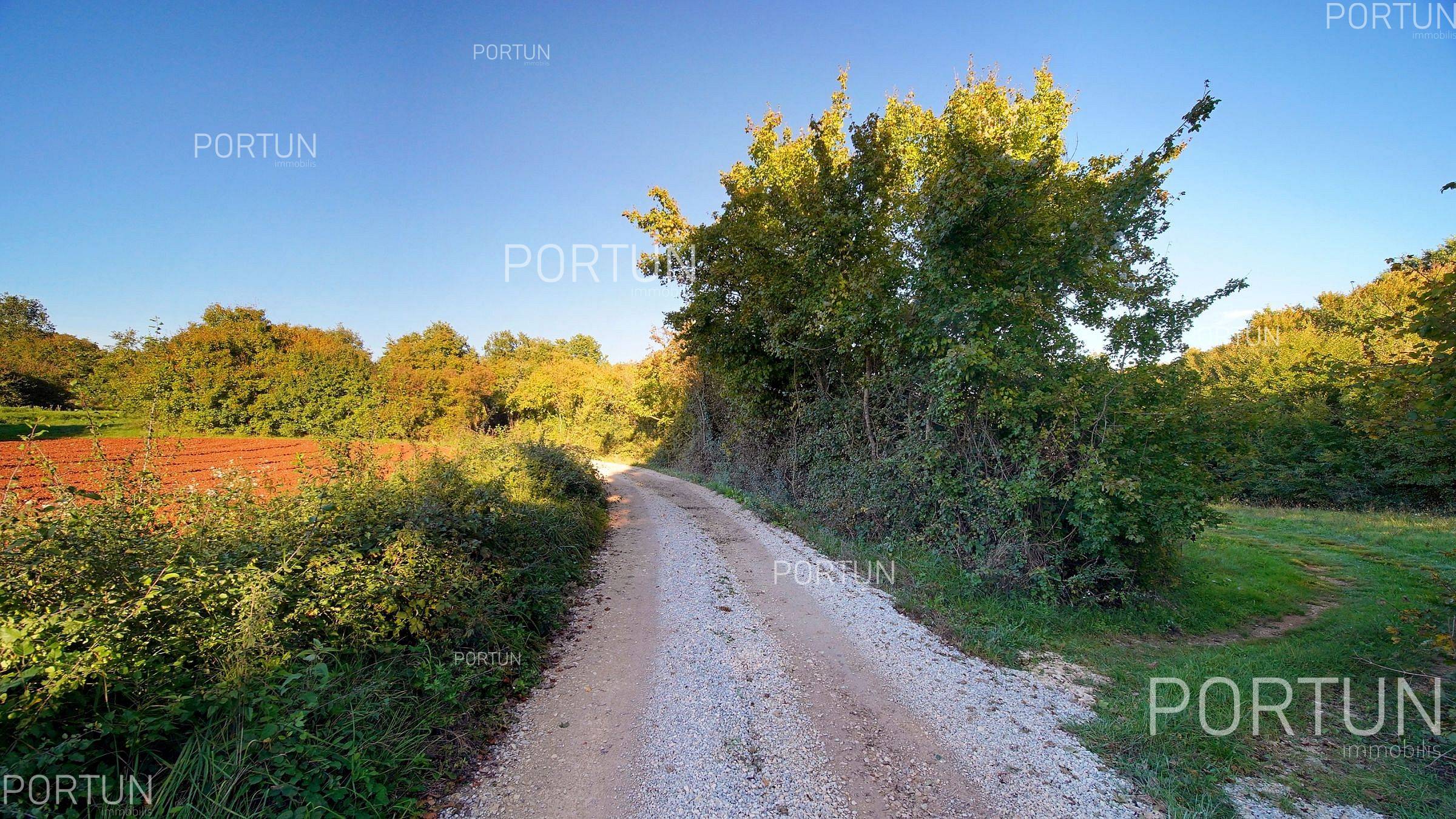 Zemljište na prodaju Sveti Lovreč - 40647 - 08
