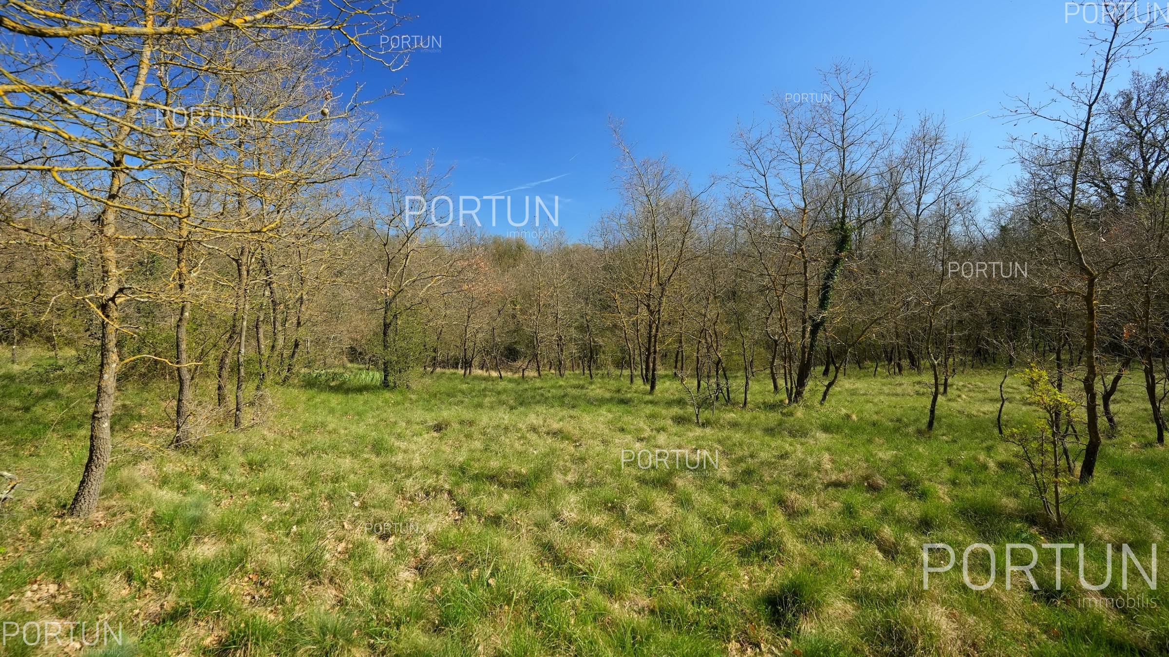Zemljište na prodaju Žminj - 40664 - 05