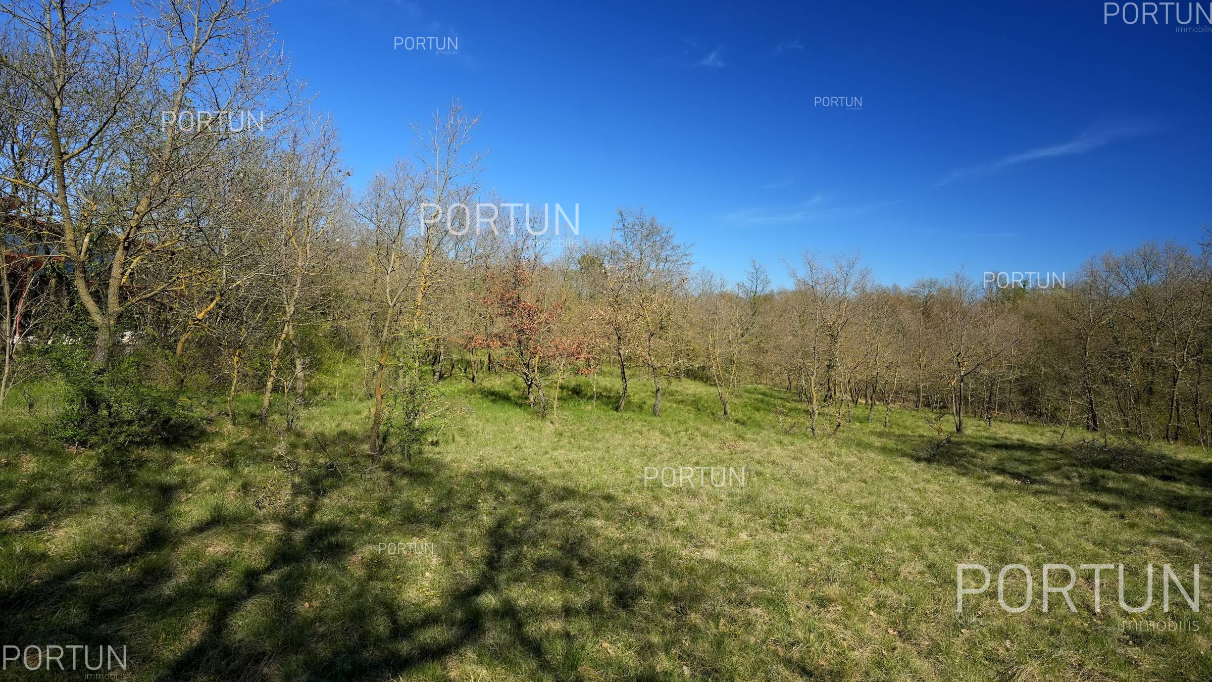Zemljište na prodaju Žminj - 40665 - 04