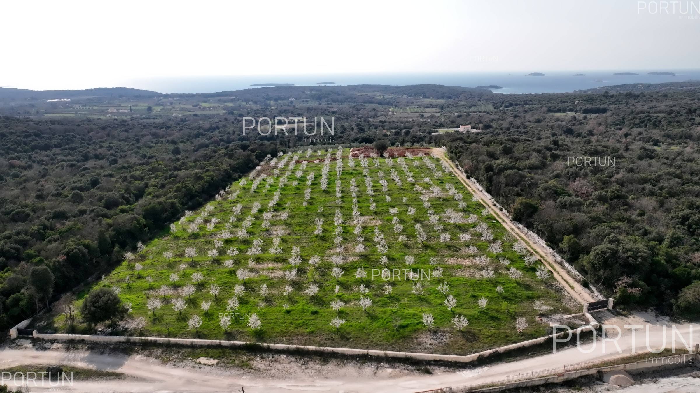 Zemljište na prodaju Rovinj - 40514 - 03