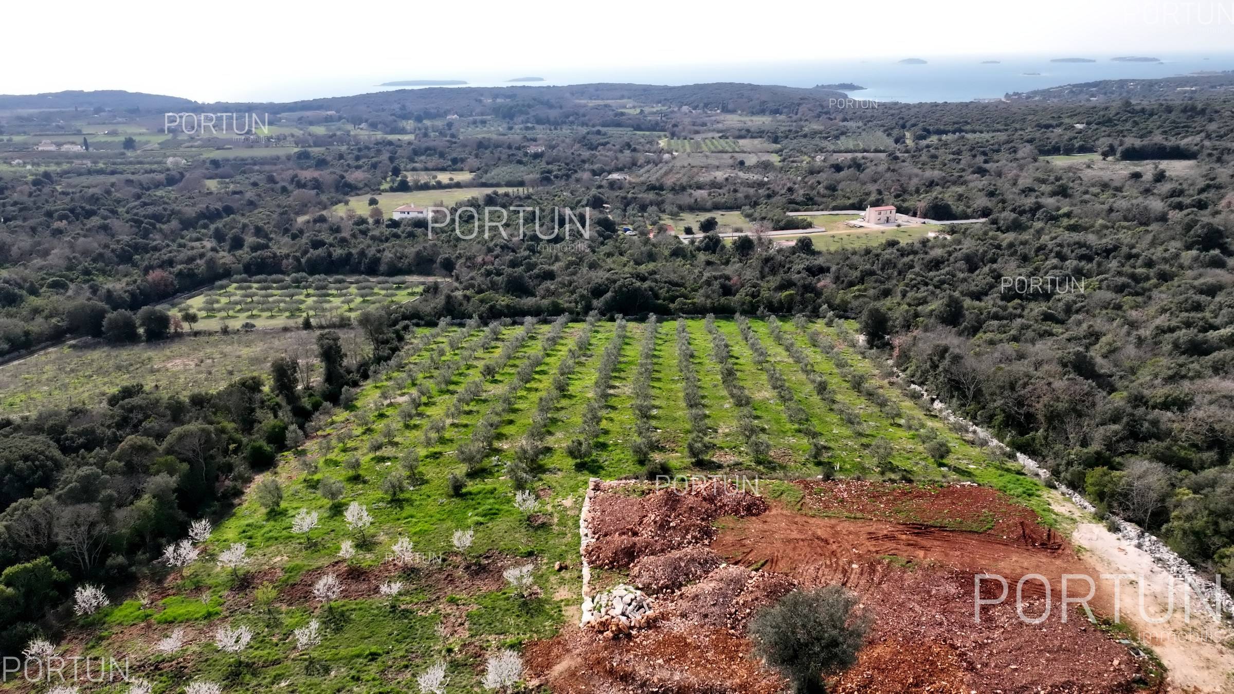 Zemljište na prodaju Rovinj - 40514 - 02