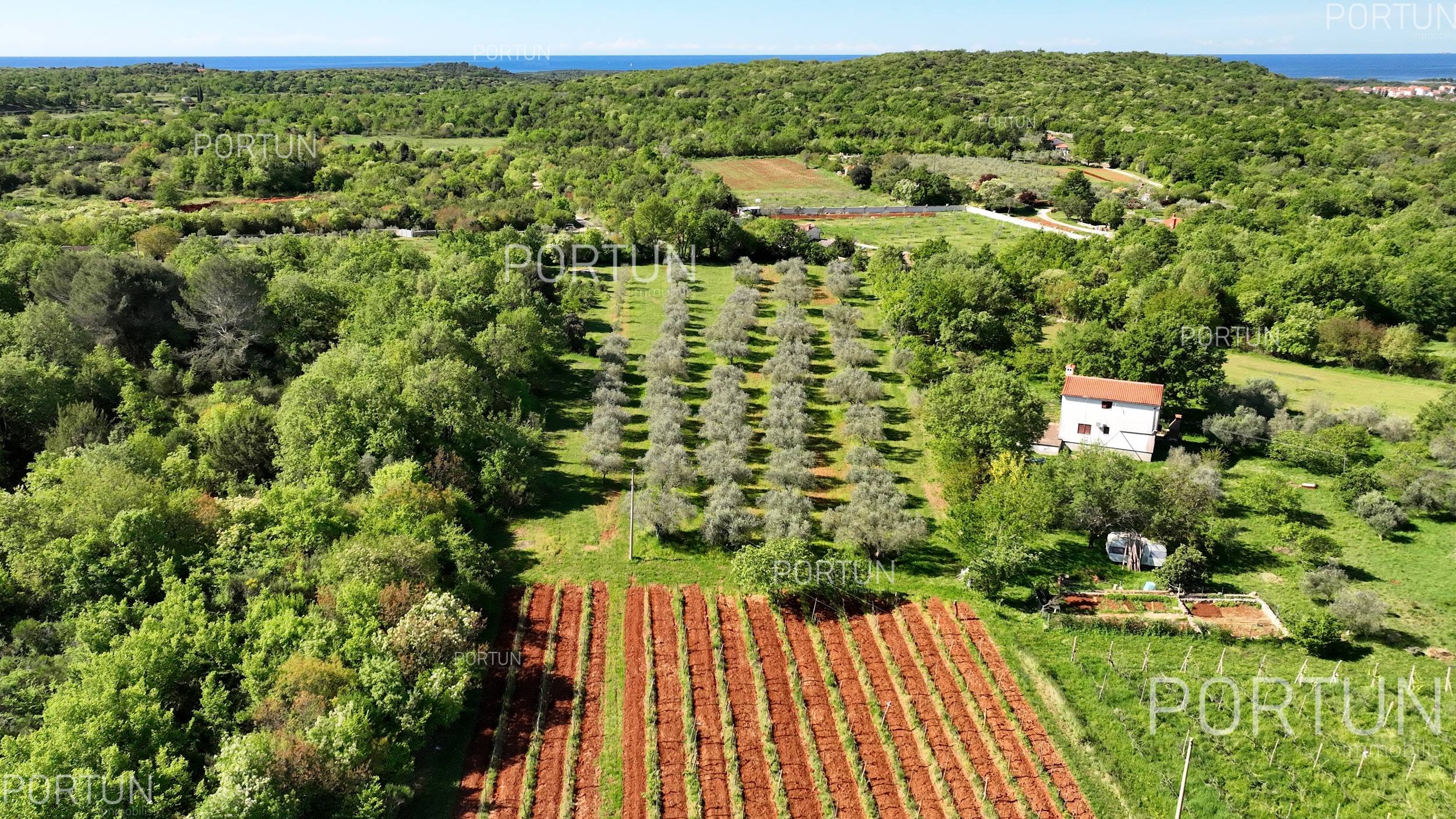 Zemljište na prodaju Rovinj - 40553 - 01