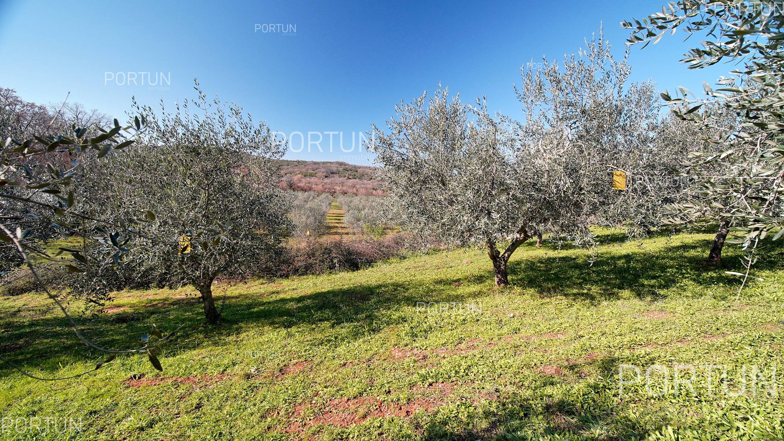 Zemljište na prodaju Rovinj - 40497 - 09