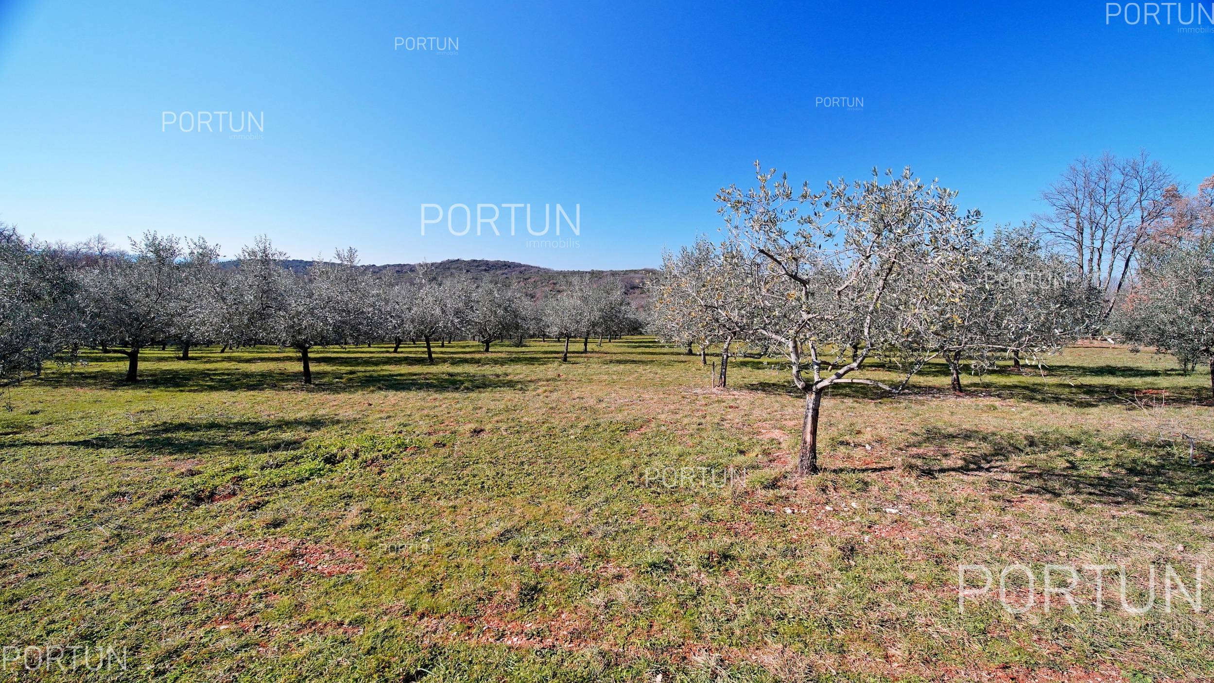 Zemljište na prodaju Rovinj - 40497 - 10