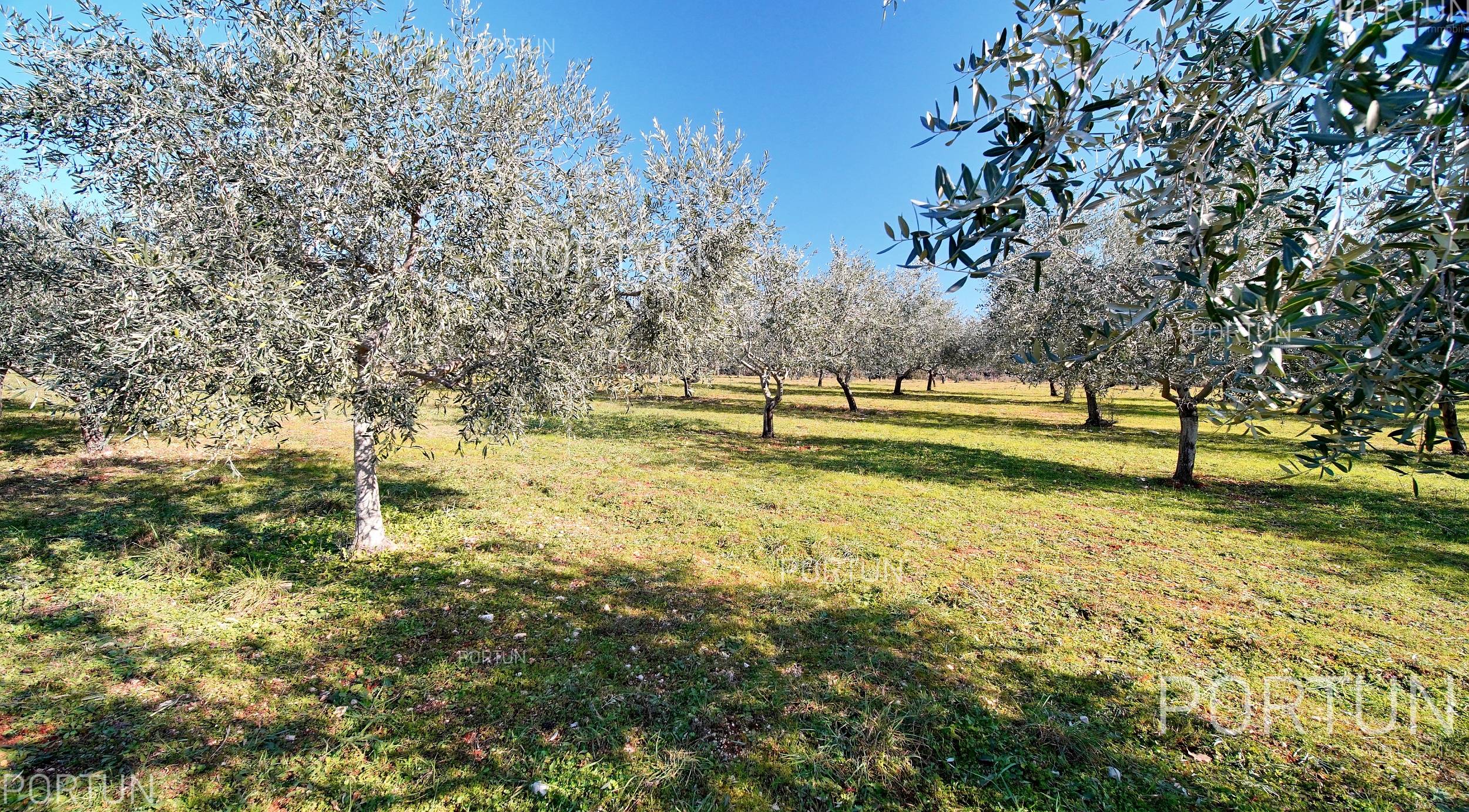 Zemljište na prodaju Rovinj - 40497 - 11