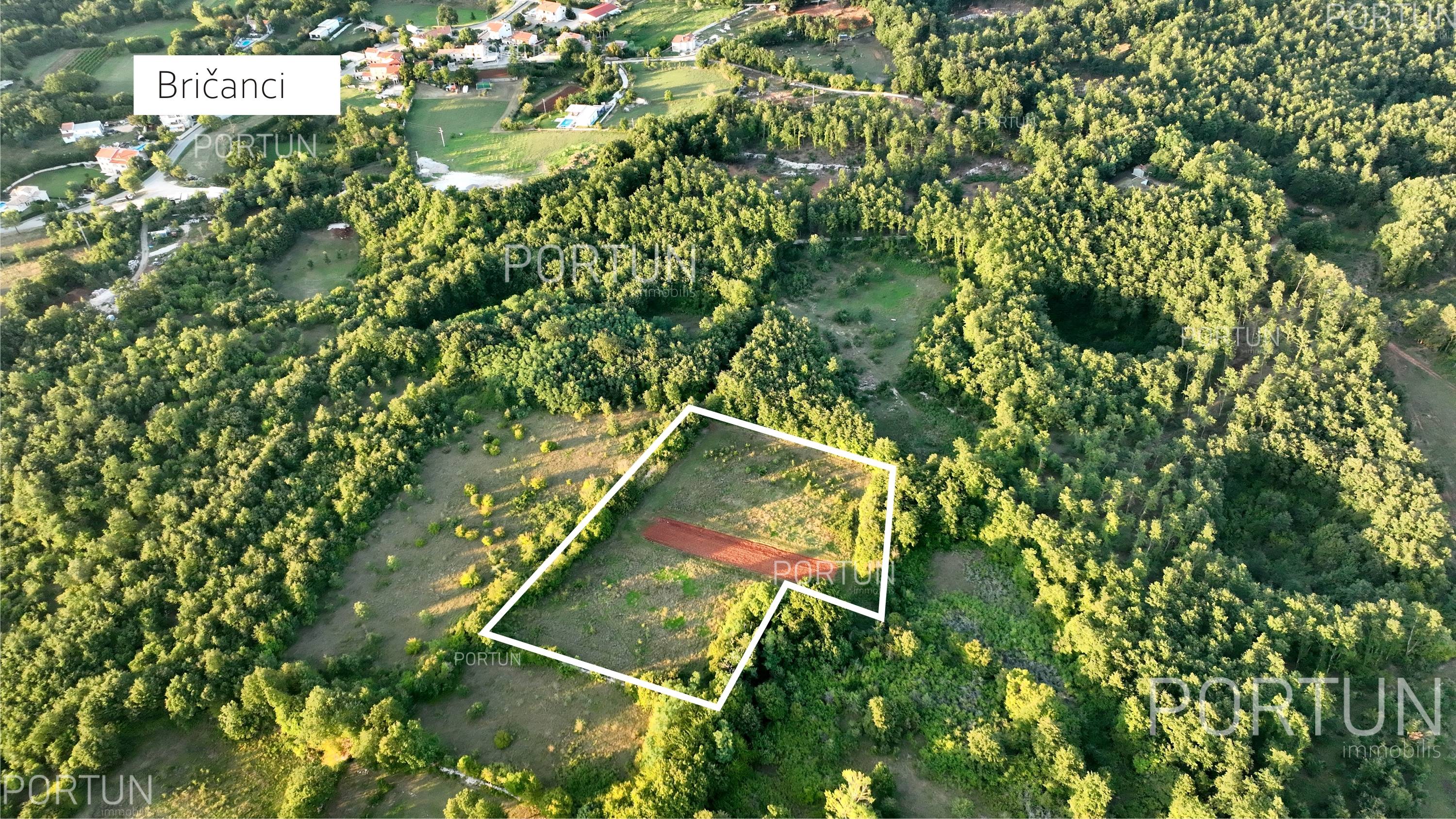 Zemljište na prodaju Svetvinčenat - 40507 - 01