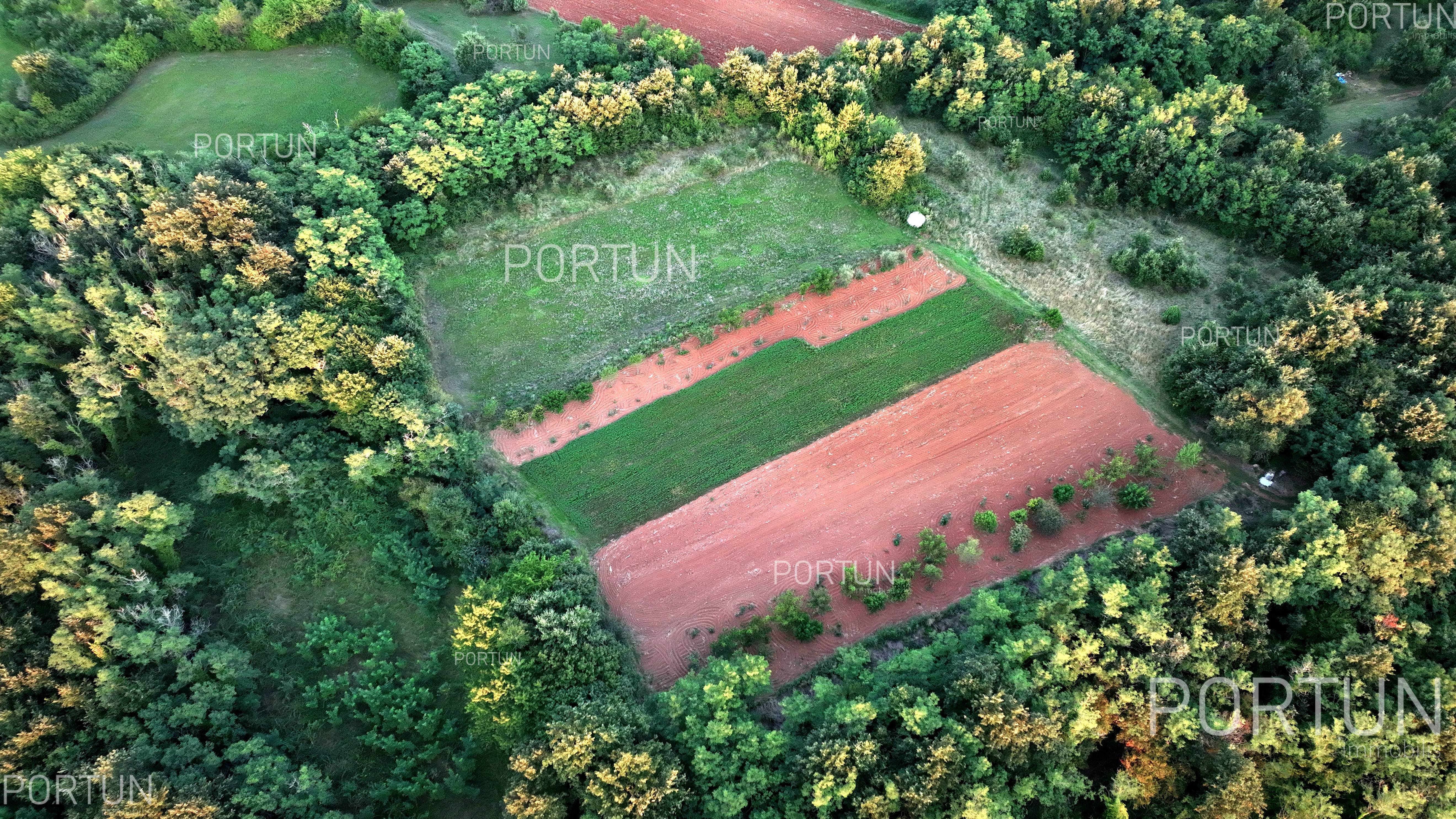 Zemljište na prodaju Svetvinčenat - 40507 - 08