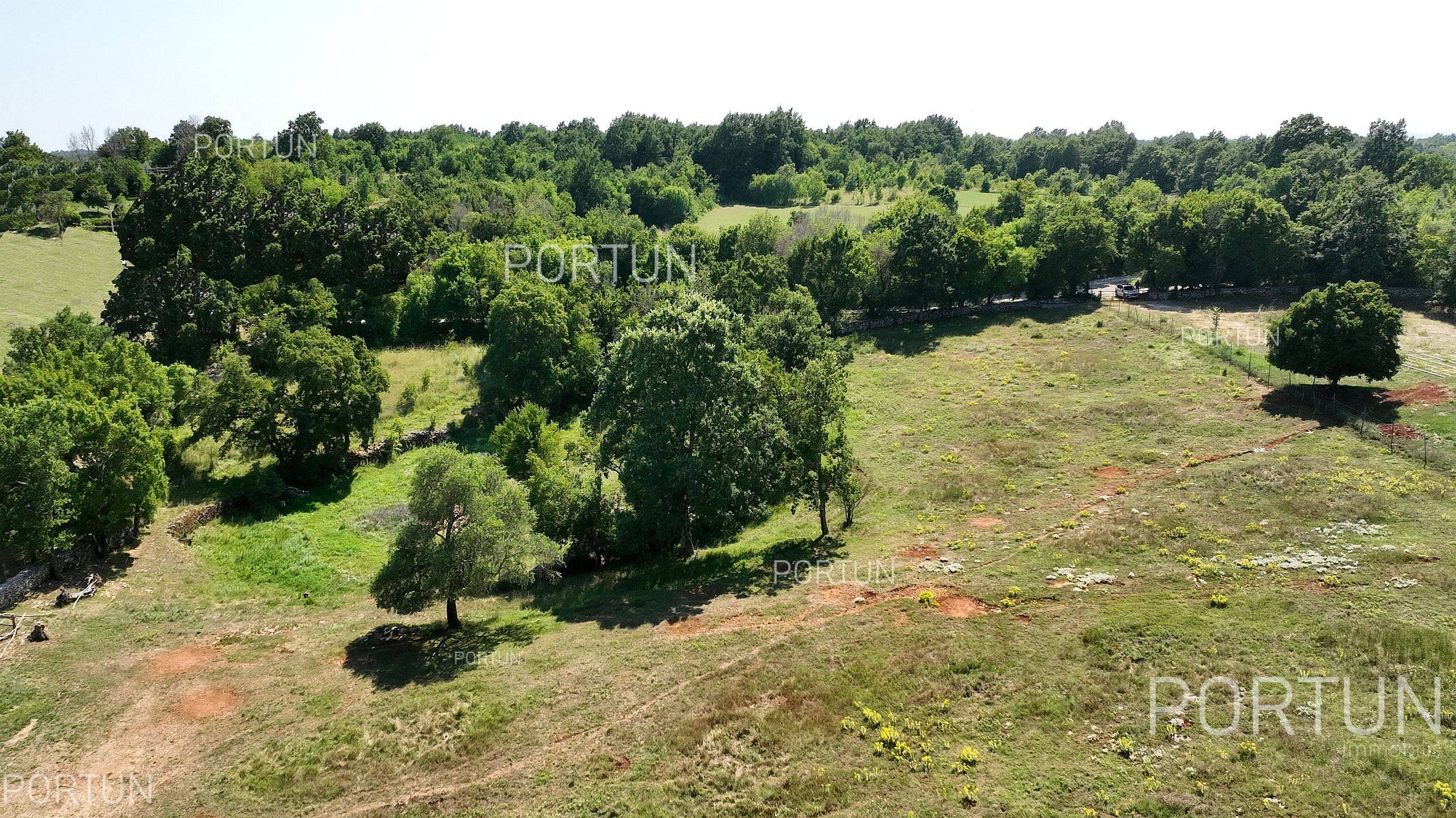 Zemljište na prodaju Žminj - 40510 - 01