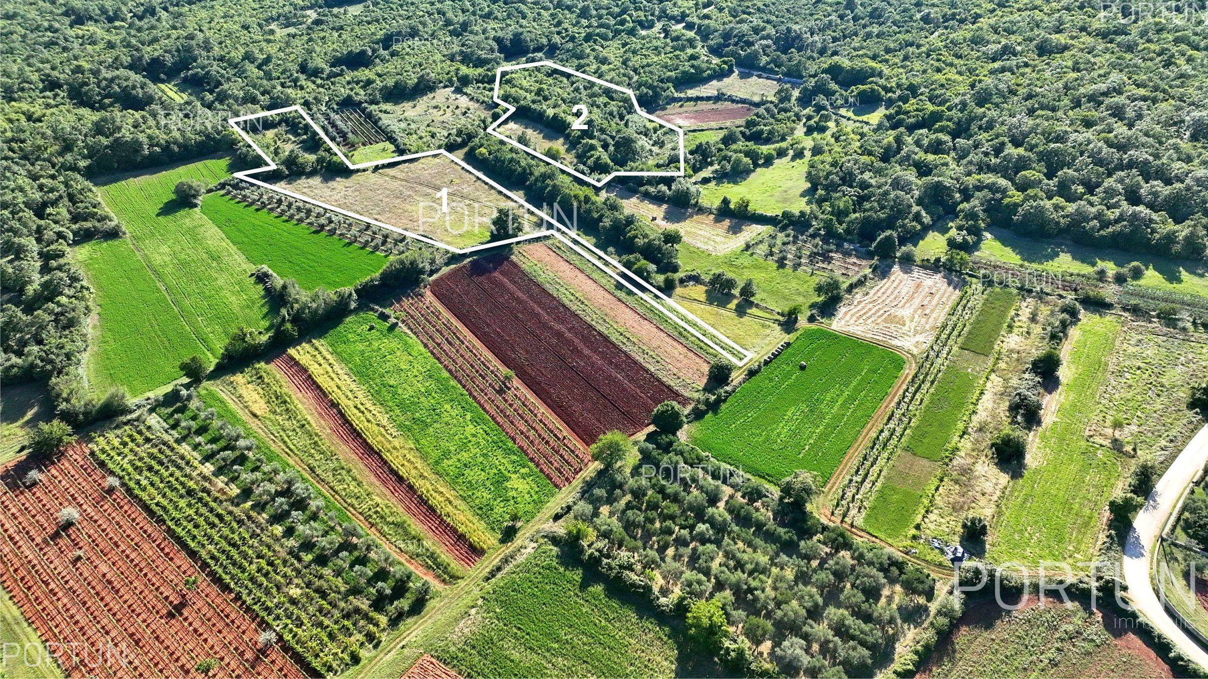 Zemljište na prodaju Svetvinčenat - 40522 - 01