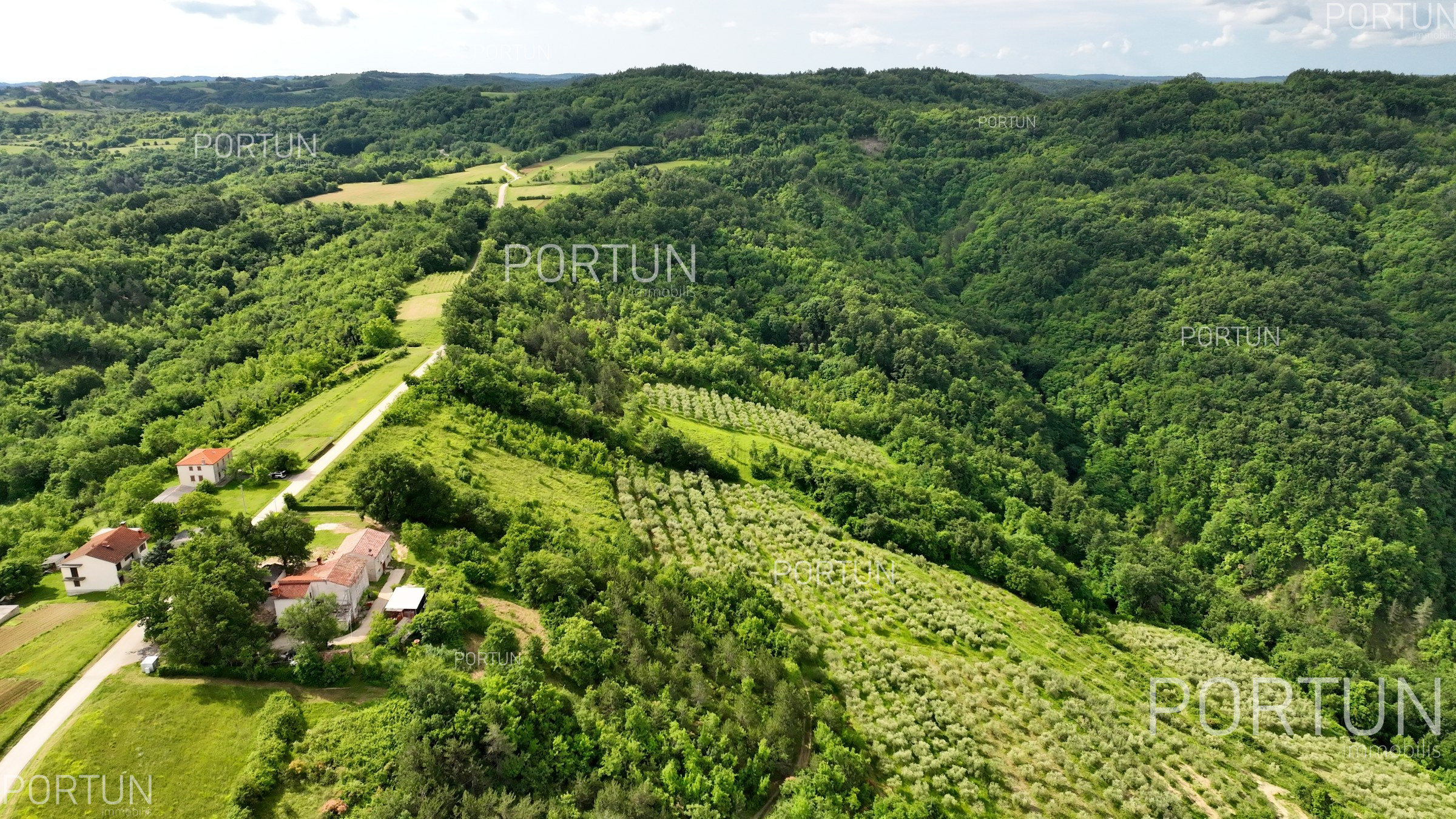 item_Je li kupnja zemljišta u Istri dobra investicija?