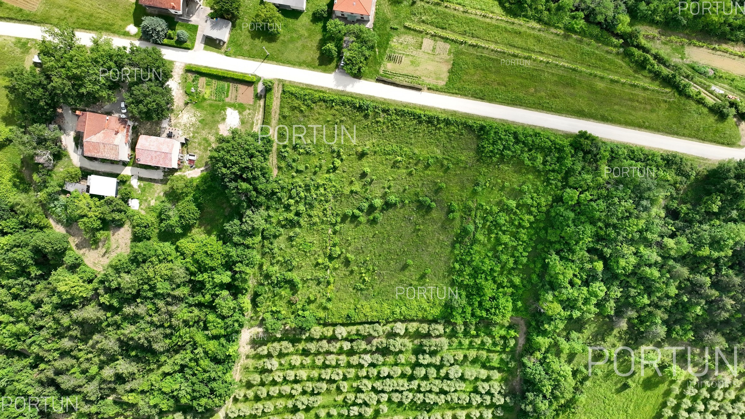 item_Kako prepoznati dobro zemljište prije drugih